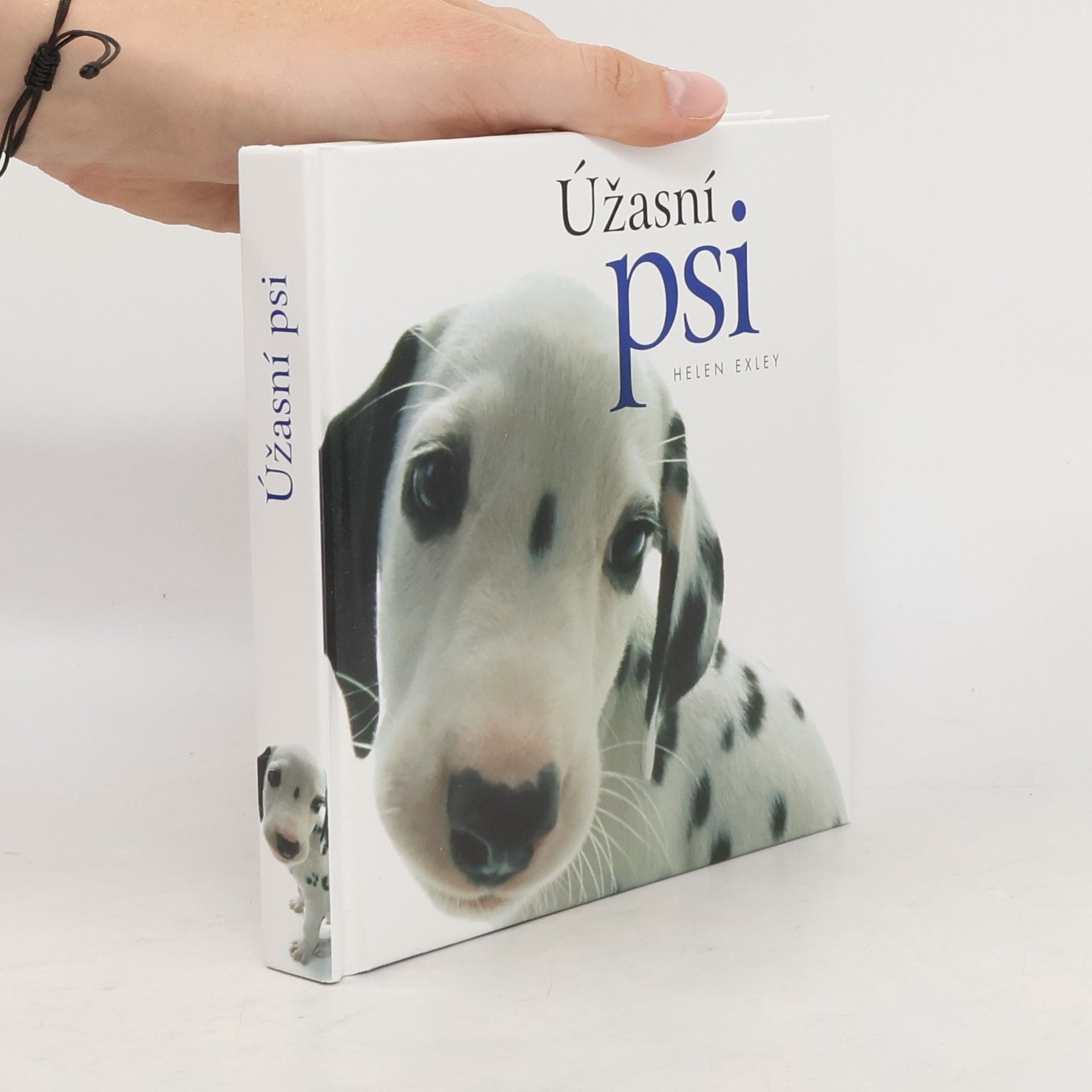 Yoneo Morita Úžasní psi