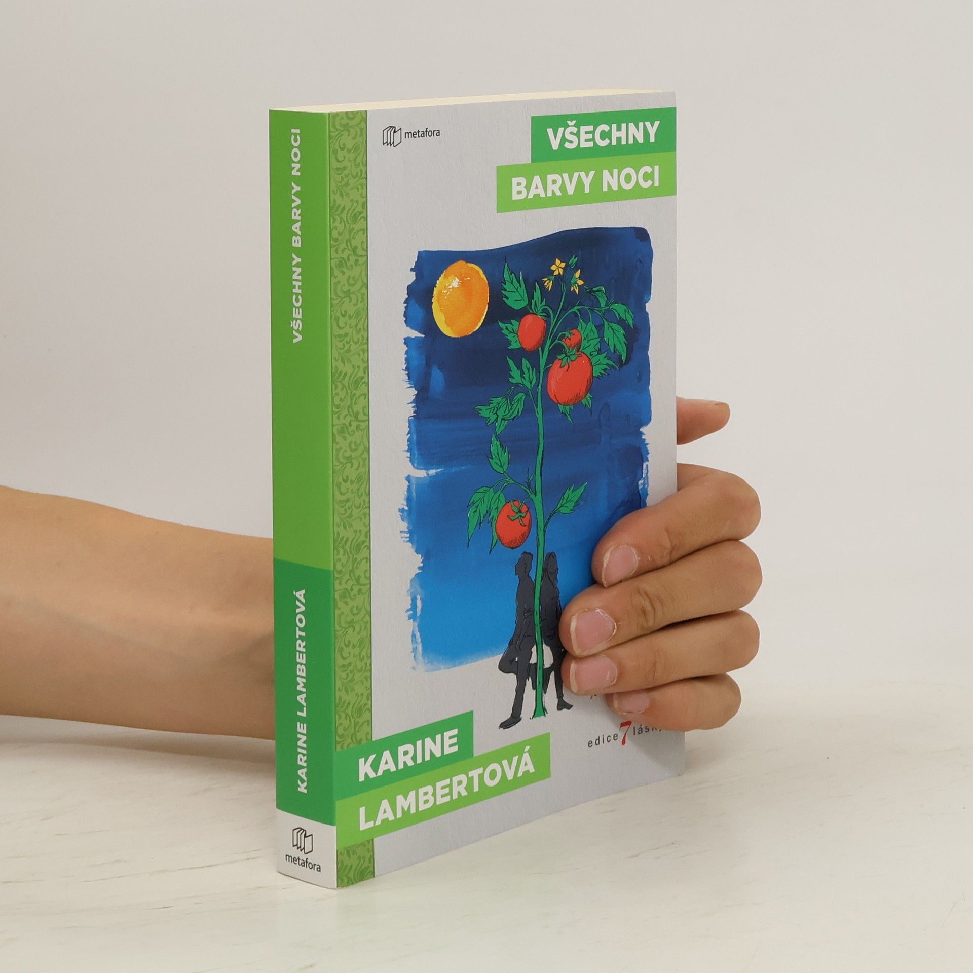 Karine Lambert Všechny barvy noci