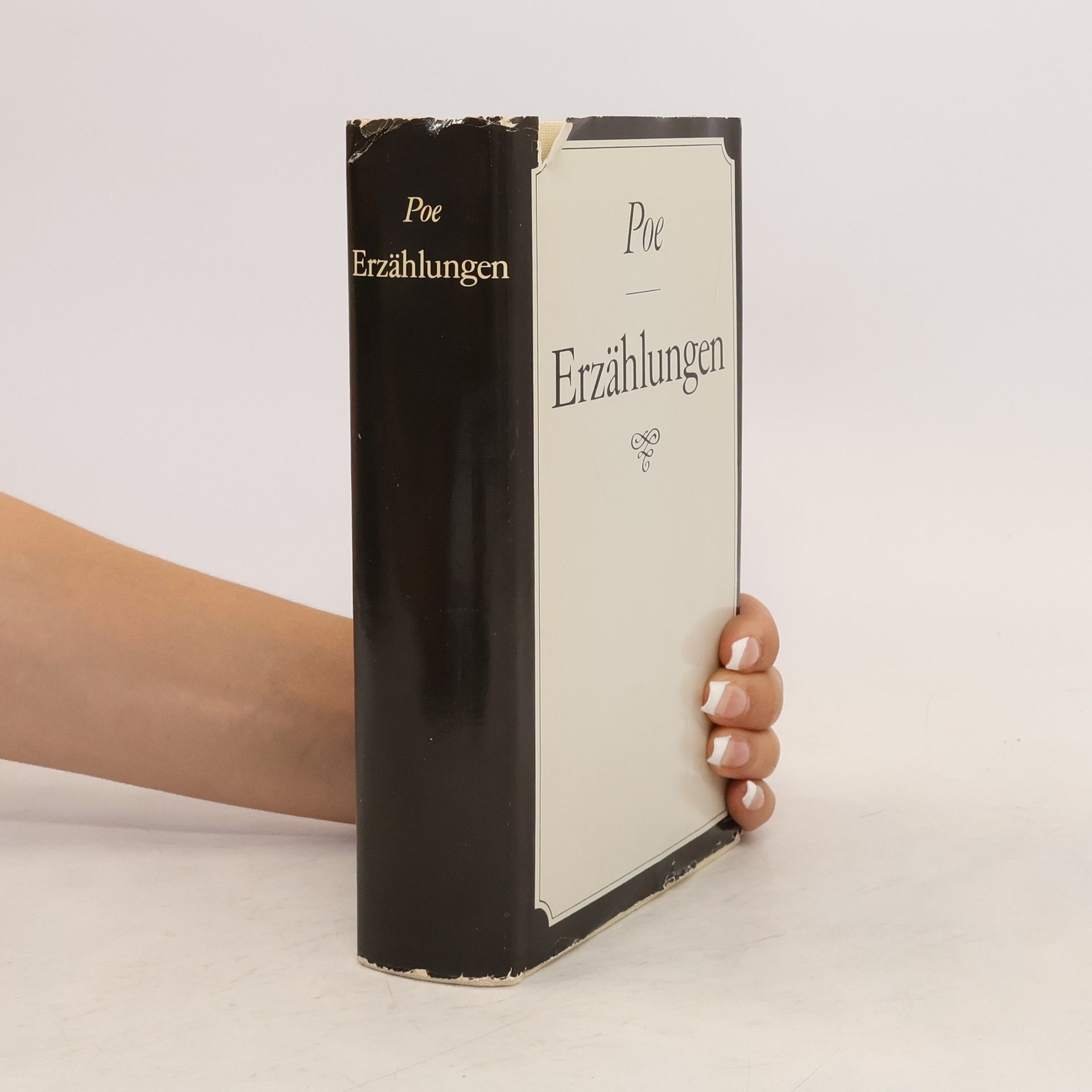 Edgar Allan Poe Erzählungen