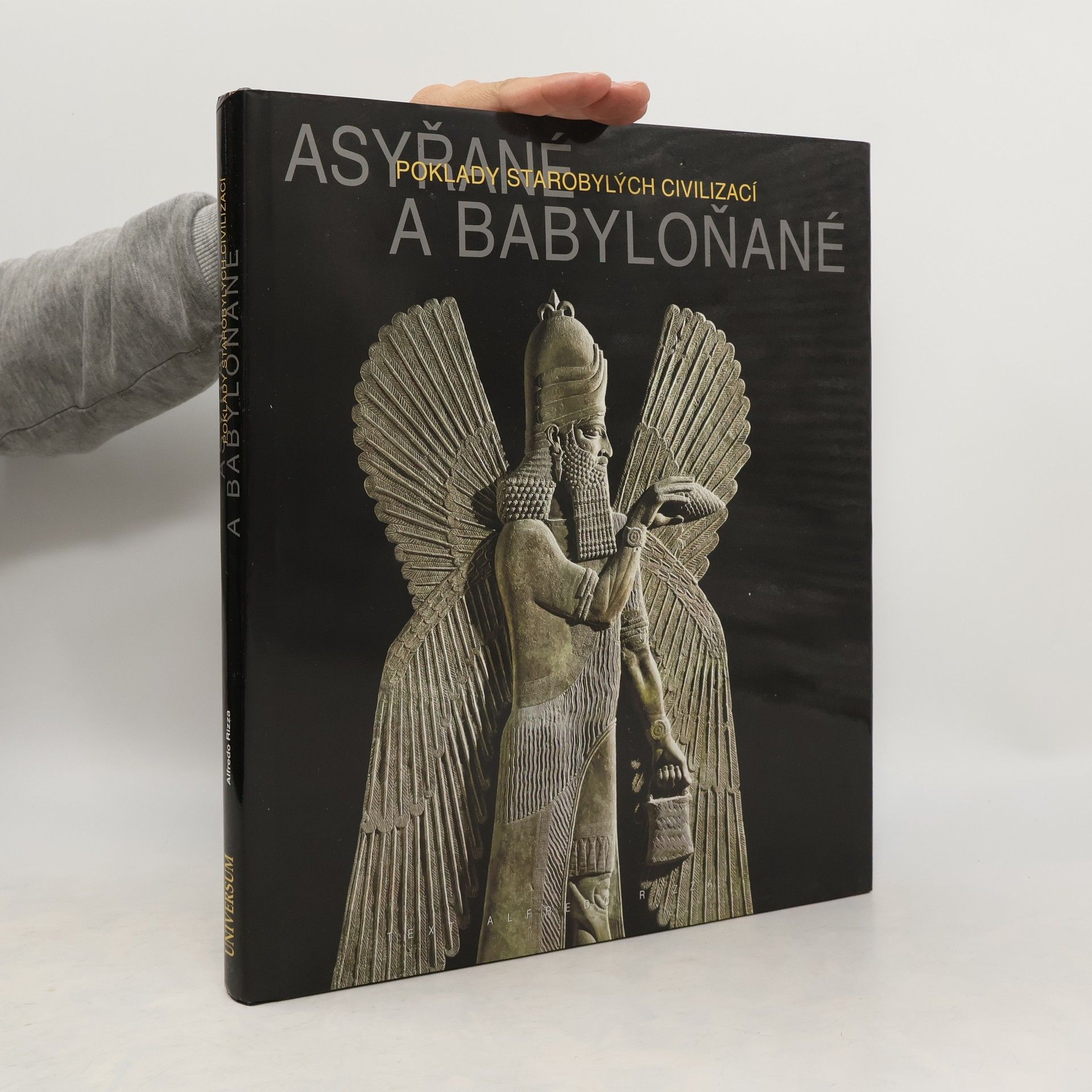 Alfredo Rizza Asyřané a Babyloňané - Poklady starobylých civilizací