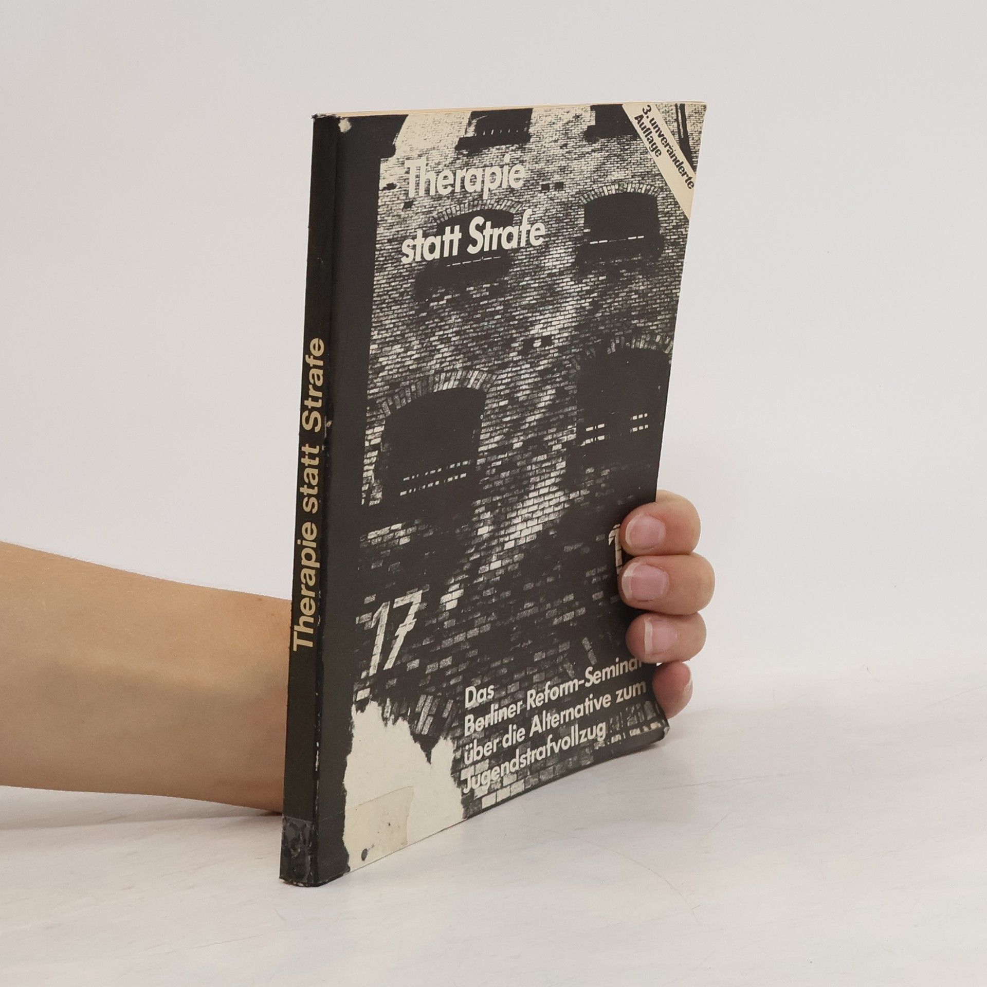 Collectif d'auteurs Therapie statt Strafe