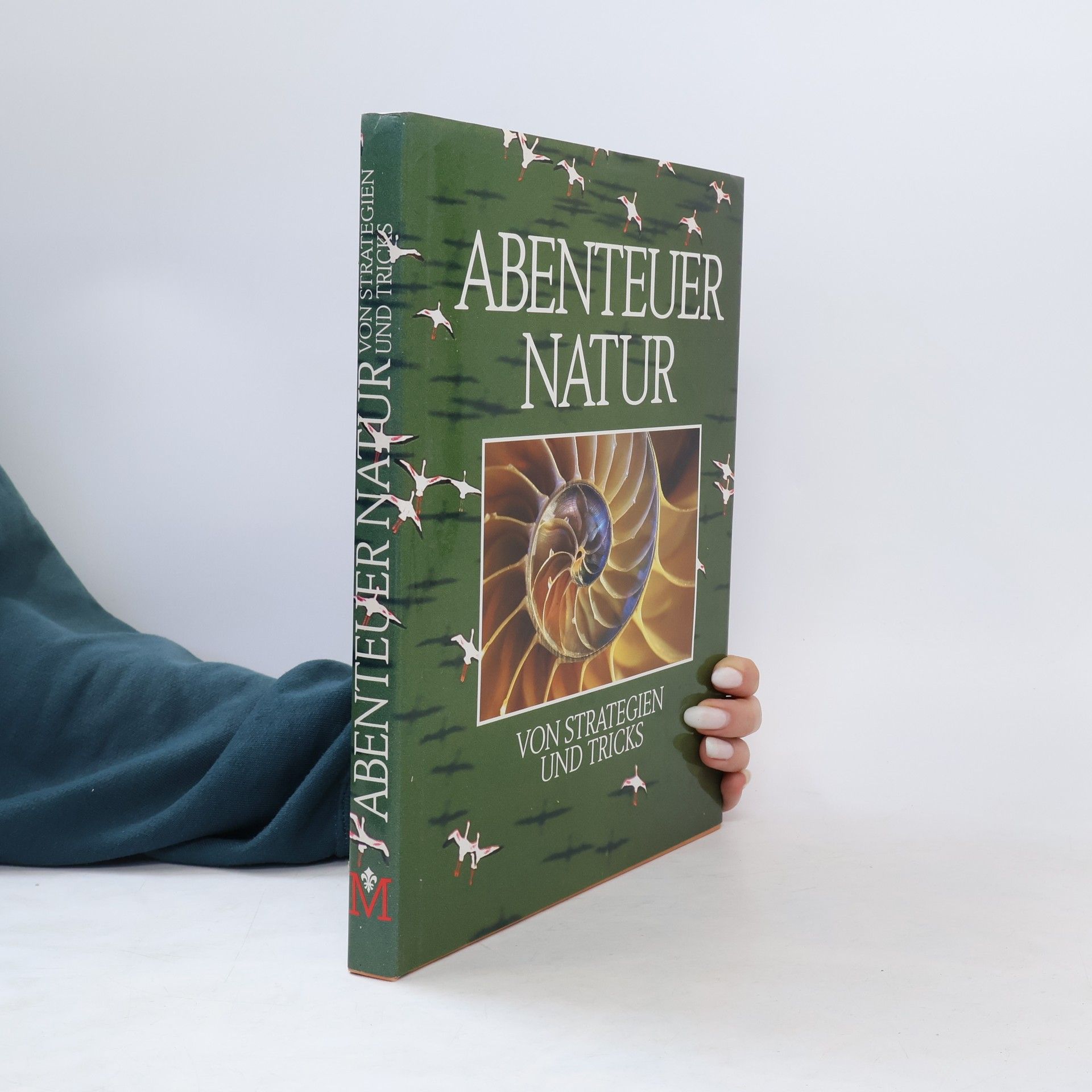 kolektiv Abenteuer Natur. Von Strategien und Tricks