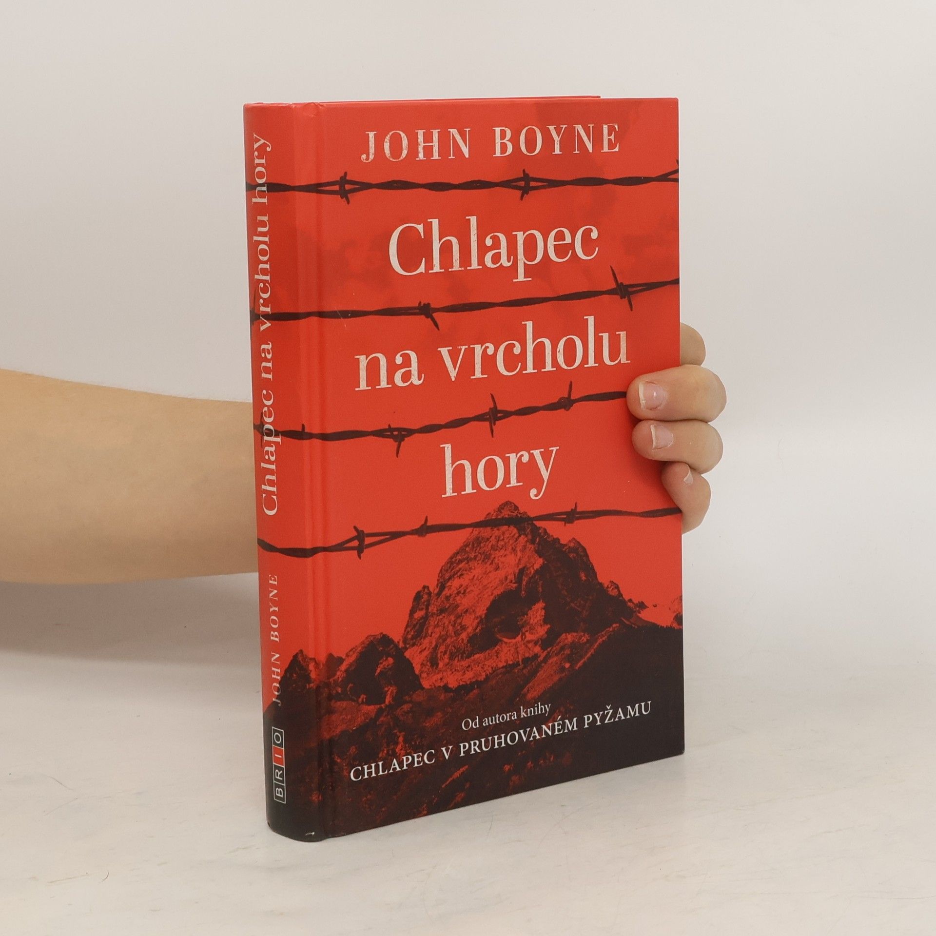 John Boyne Chlapec na vrcholu hory