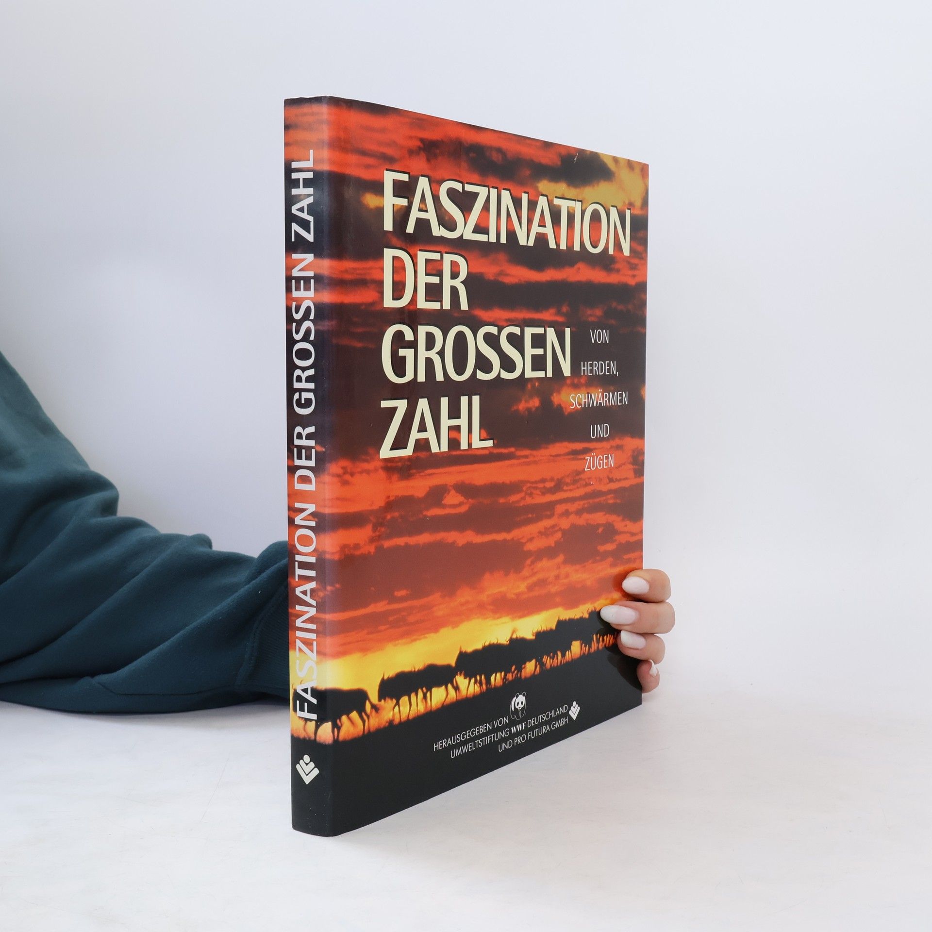Autorenkollektiv Faszination der grossen zahl