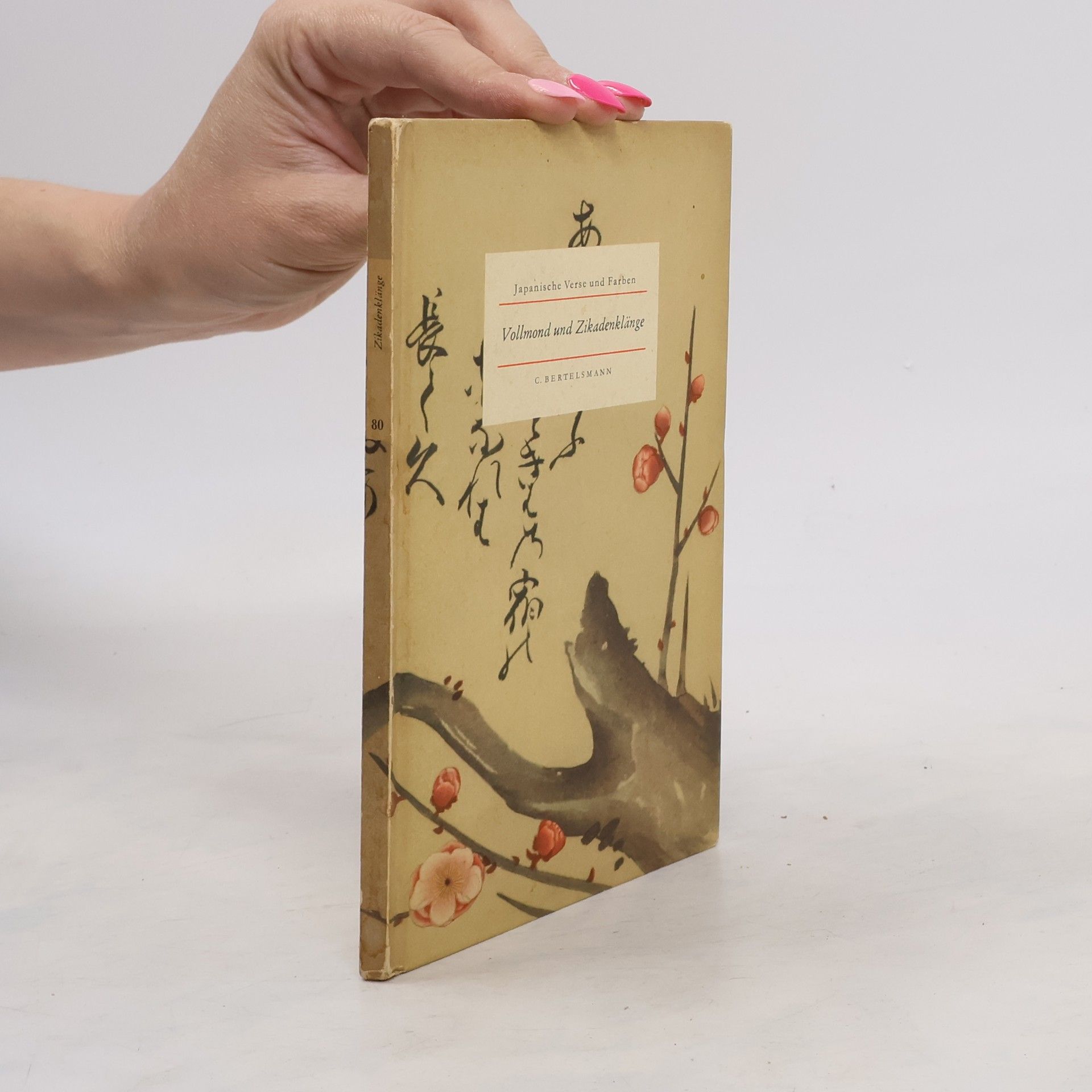 Autorenkollektiv Vollmond und Zikadenklänge