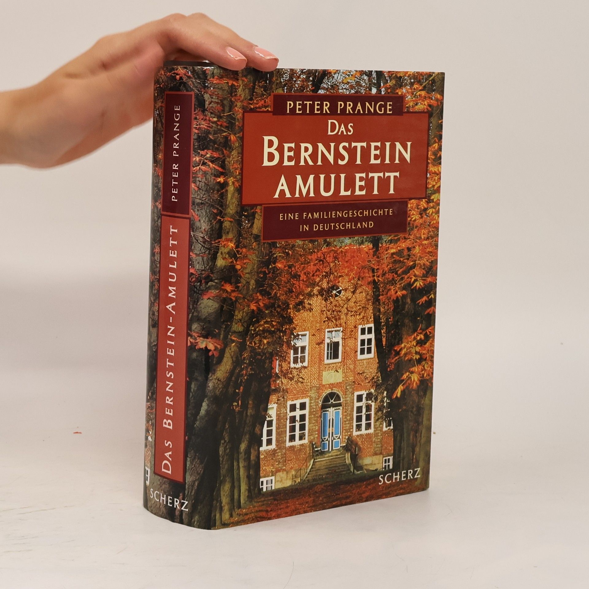 Peter Prange Das Bernstein-Amulett