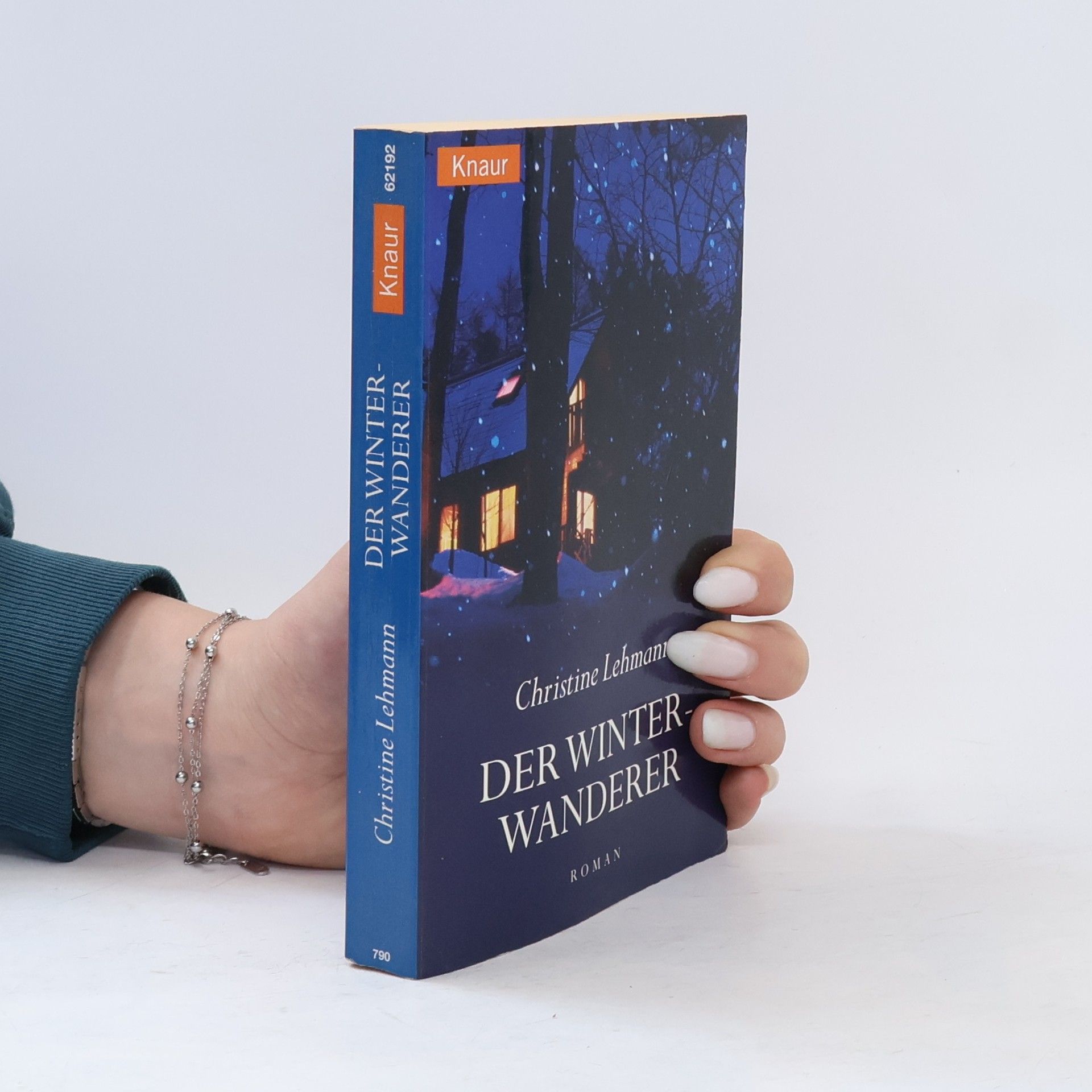 Kristina Lemann Der Winterwanderer