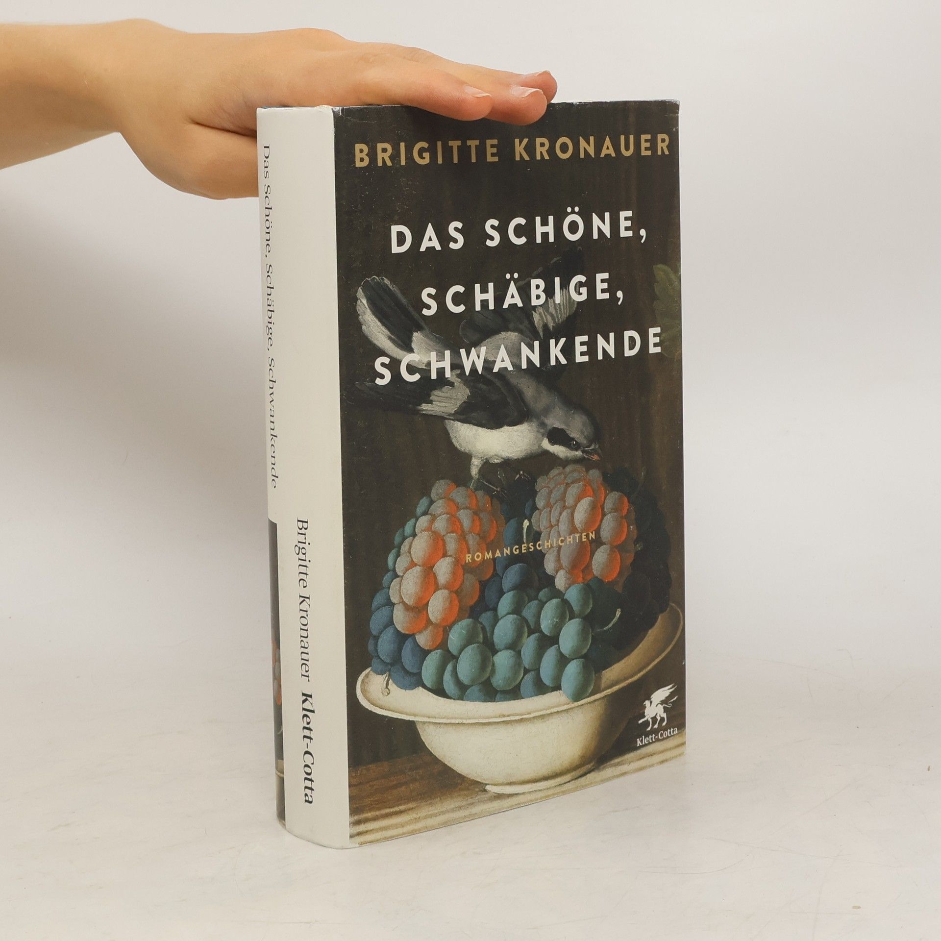 Brigitte Kronauer Das Schöne, Schäbige, Schwankende