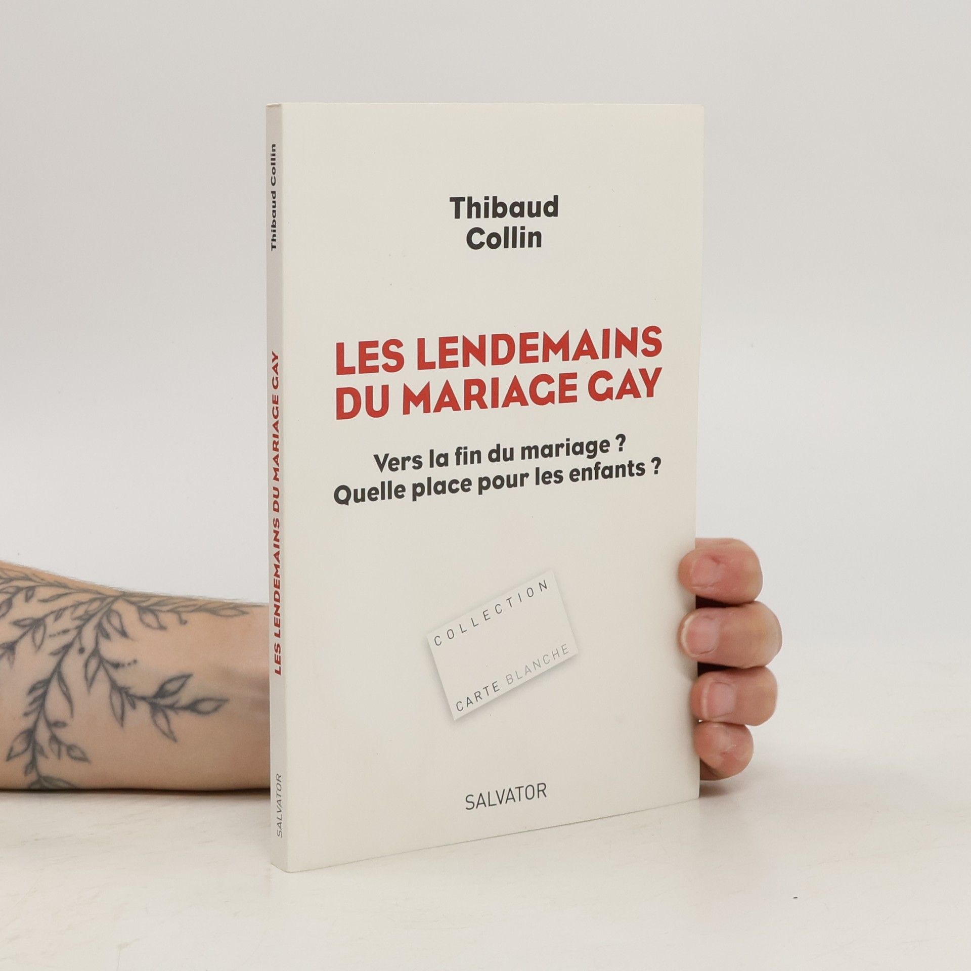 Thibaud Collin Les lendemains du mariage gay