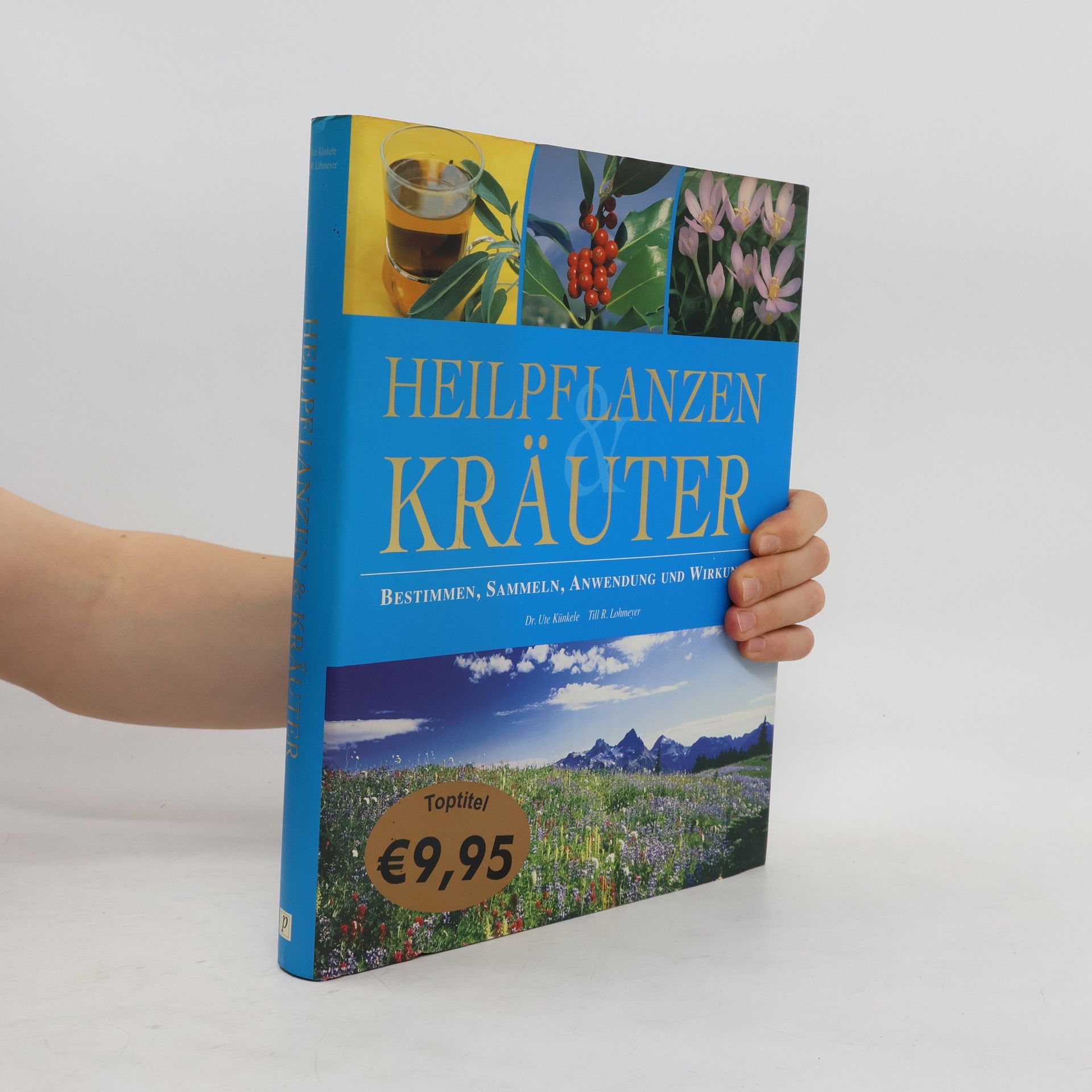 Heilpflanzen & Kräuter