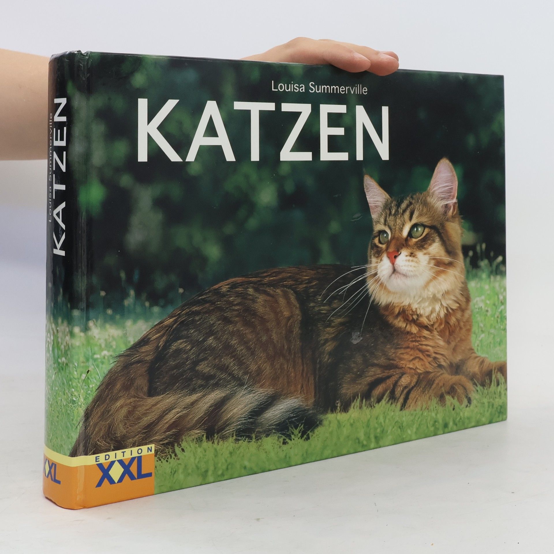 Katzen