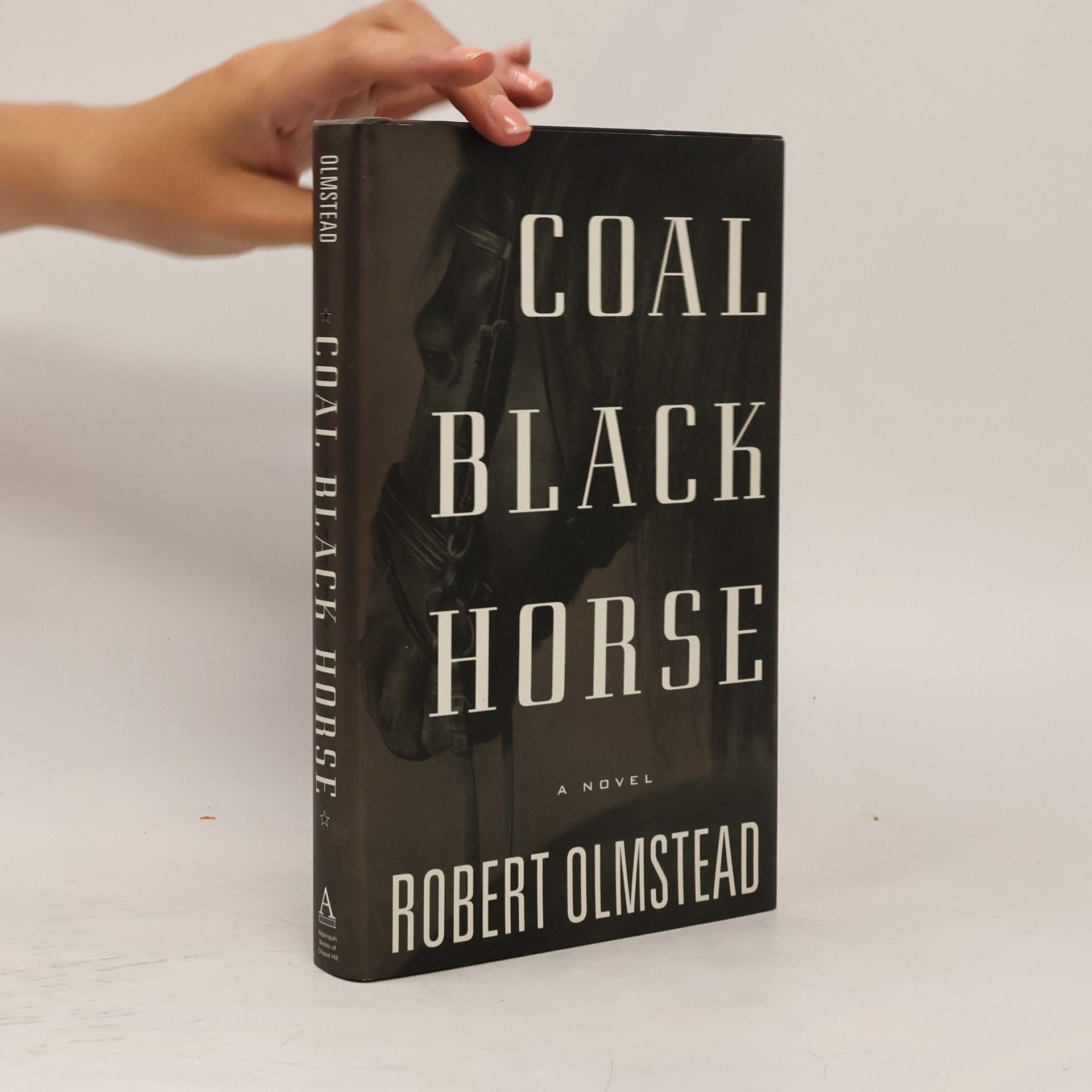 Robert Olmstead Coal Black Horse