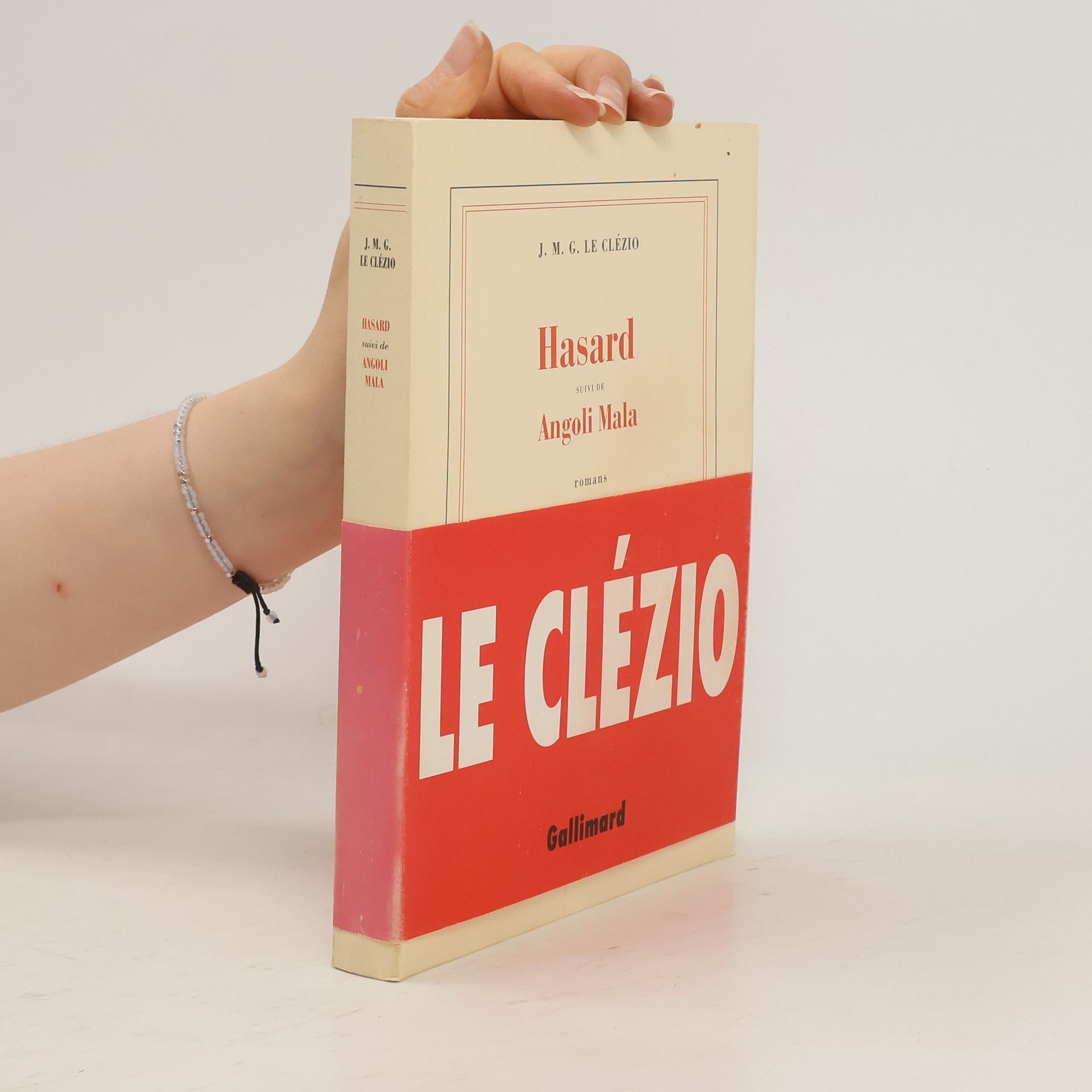 J. M. G. Le Clézio Hasard