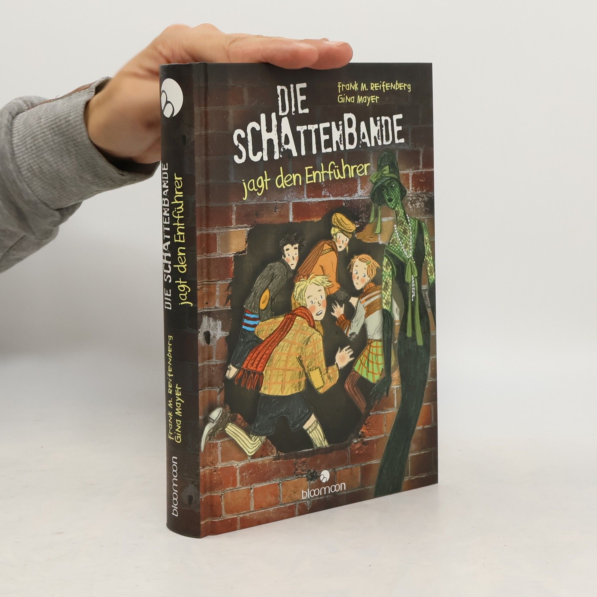 Đina Majer Die Schattenbande jagt den Entführer