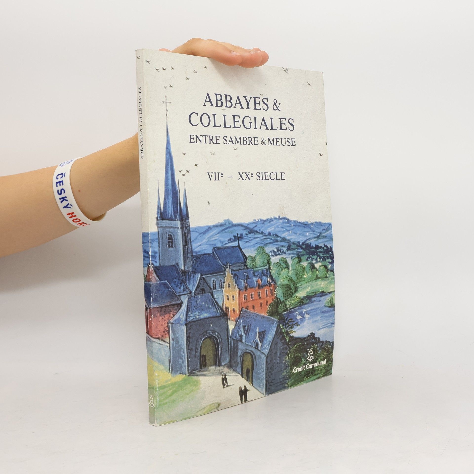 Collective Abbayes et collégiales entre Sambre et Meuse. VIIe-XXe siècle