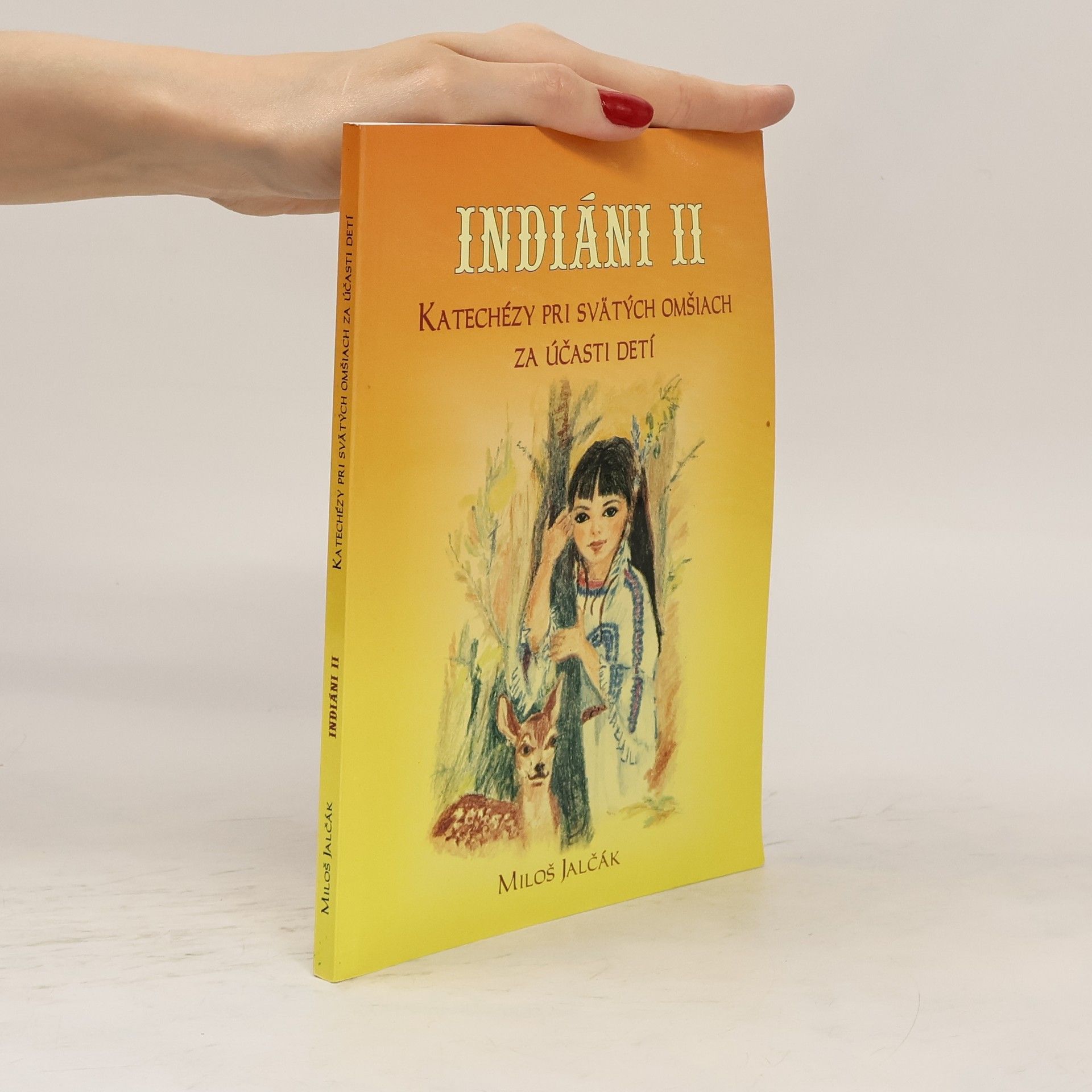 Miloš Jalčák Indiáni II. Katechézy pri svätých omšiach za účasti detí