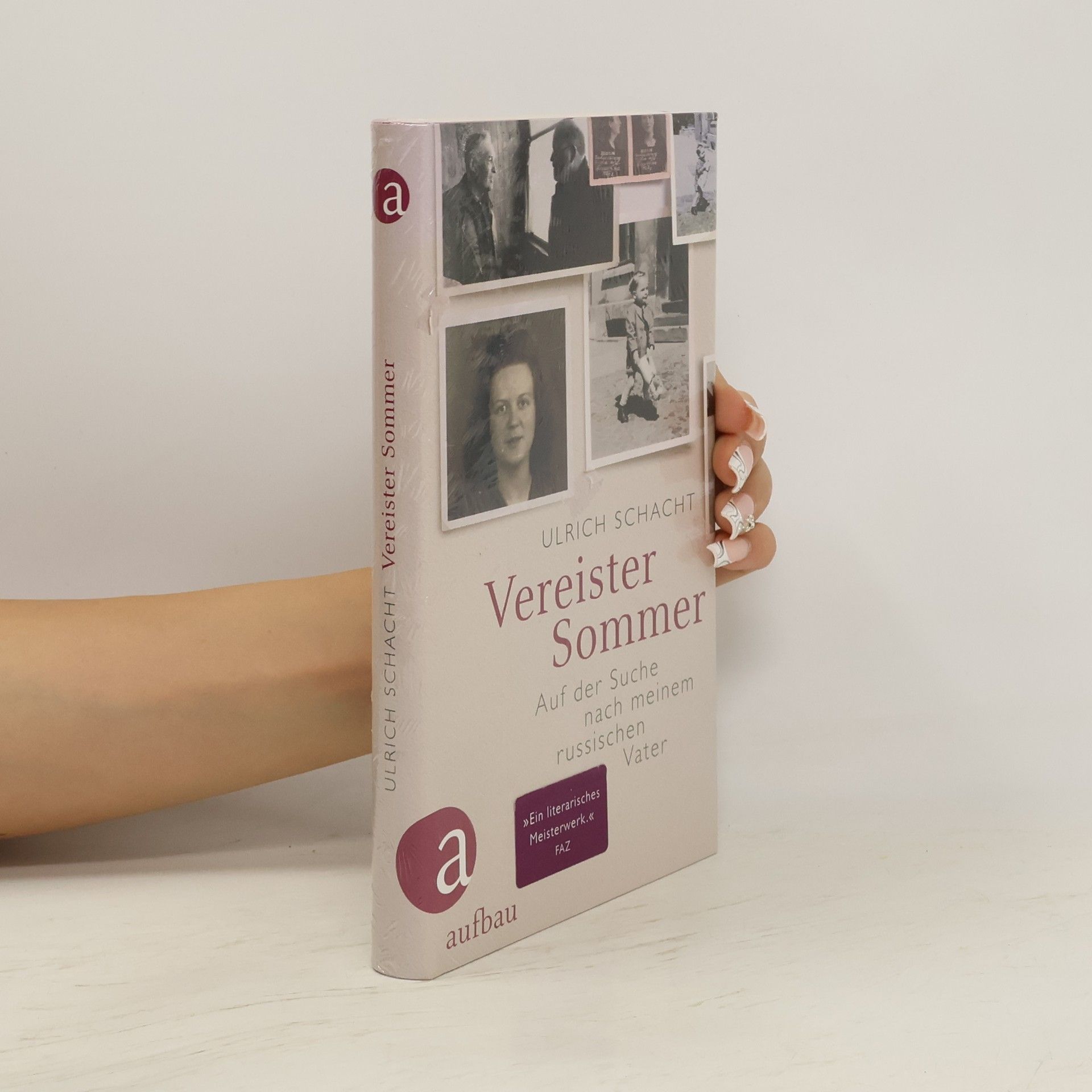 Ulrich Schacht Vereister Sommer