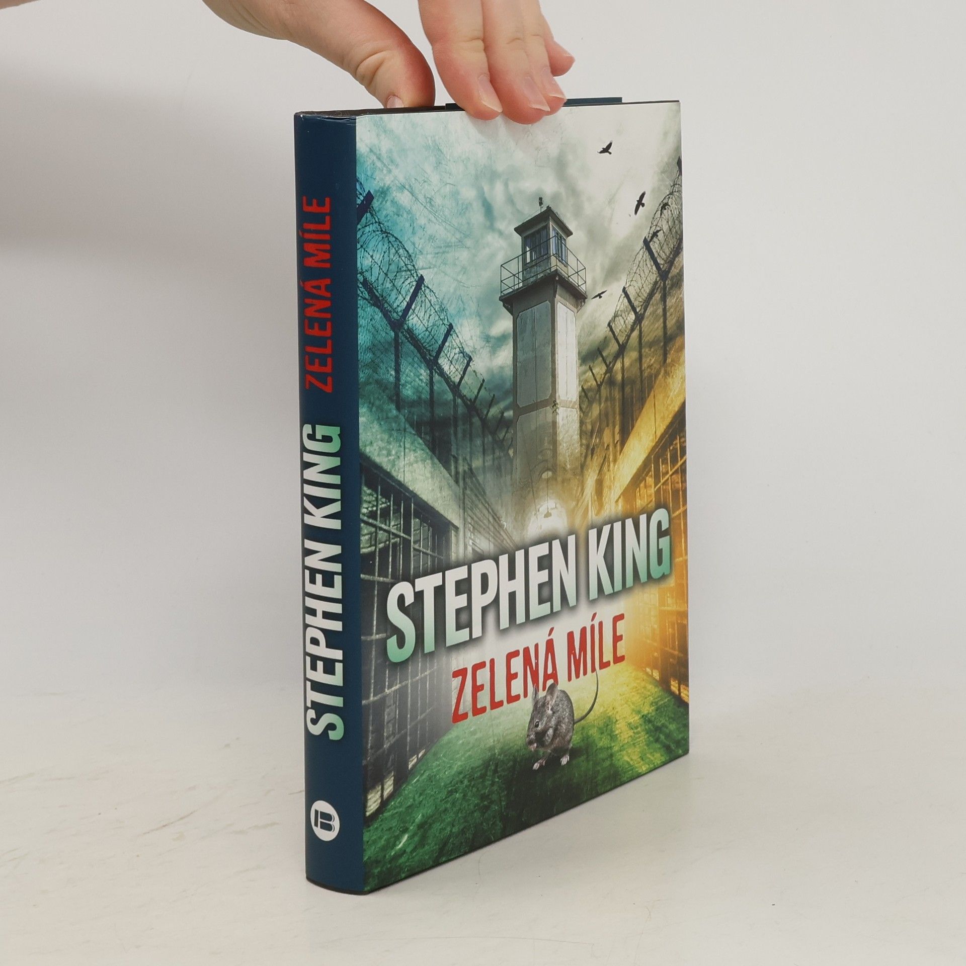 Stephen King Zelená míle