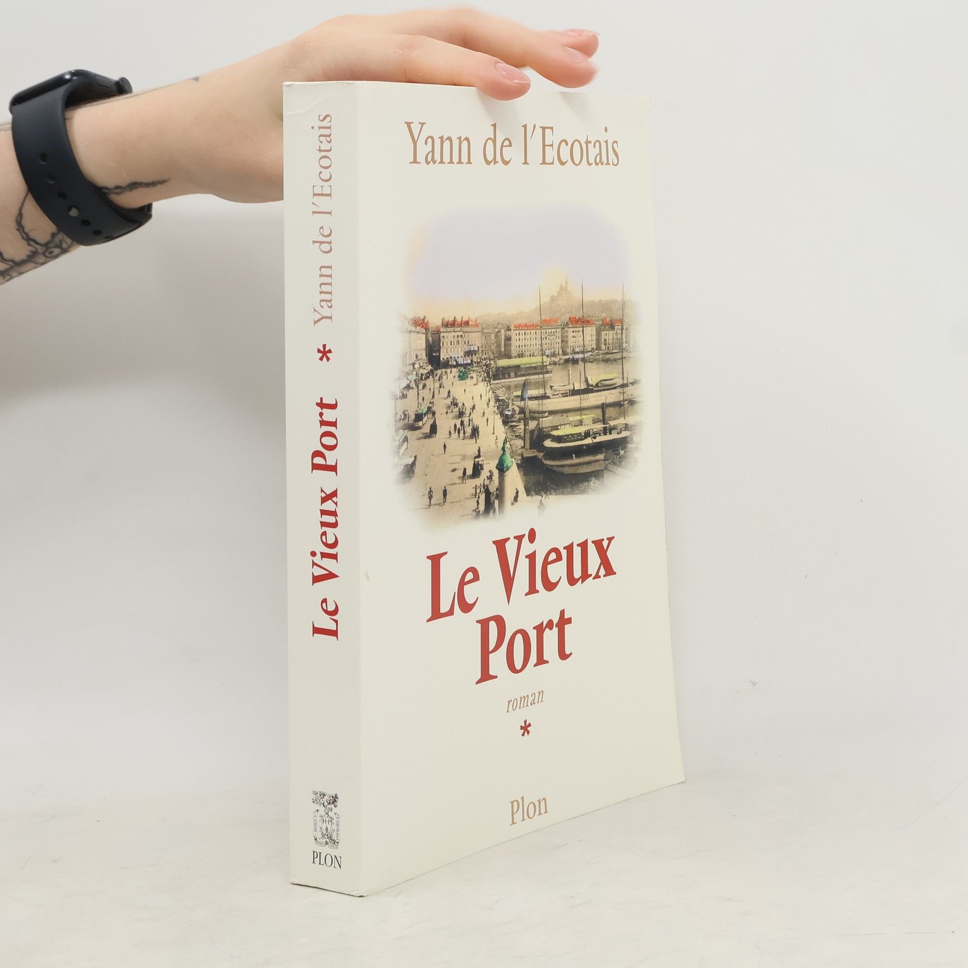 Yann de L'Ecotais Le vieux port