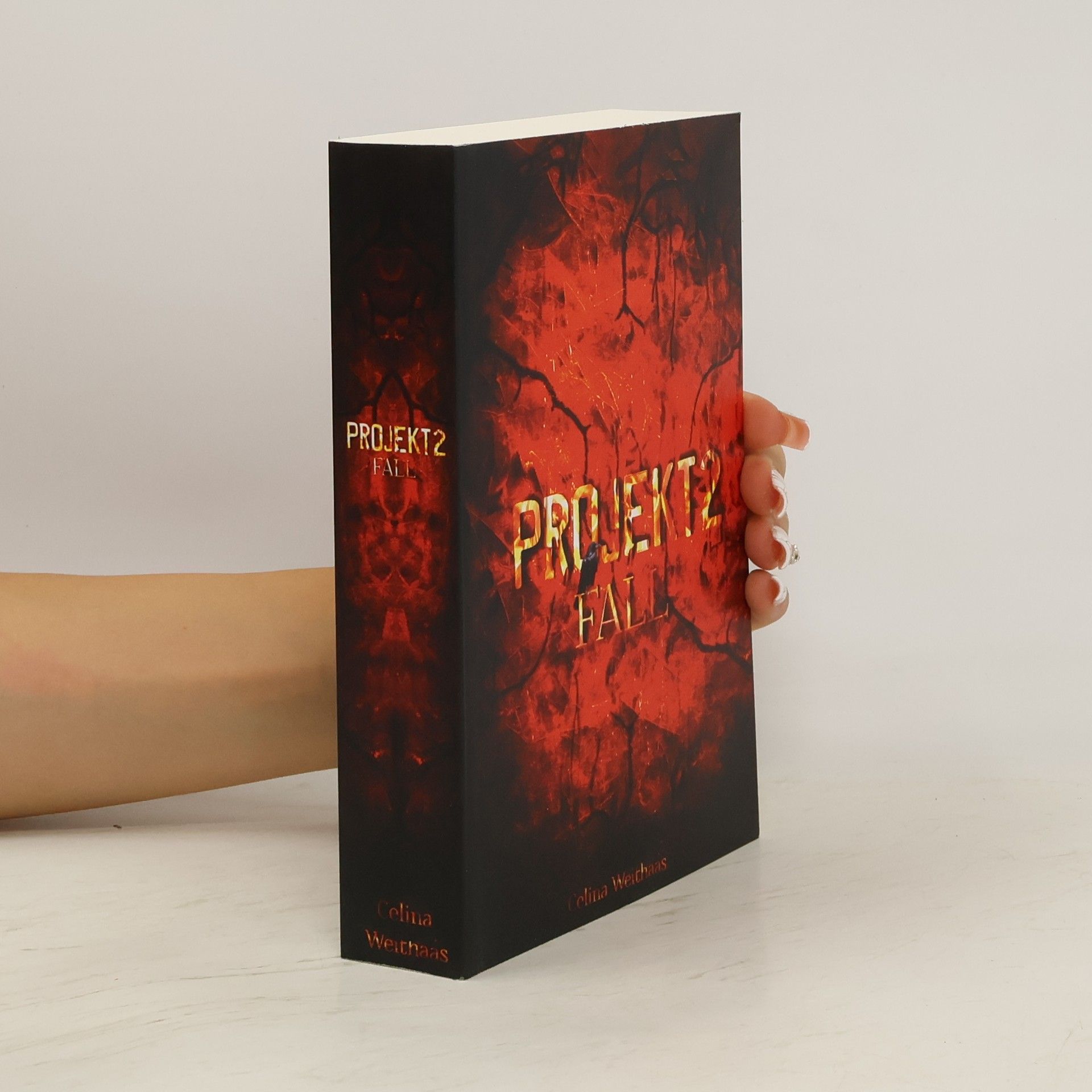 Celina Weithaas Fall - Projekt II