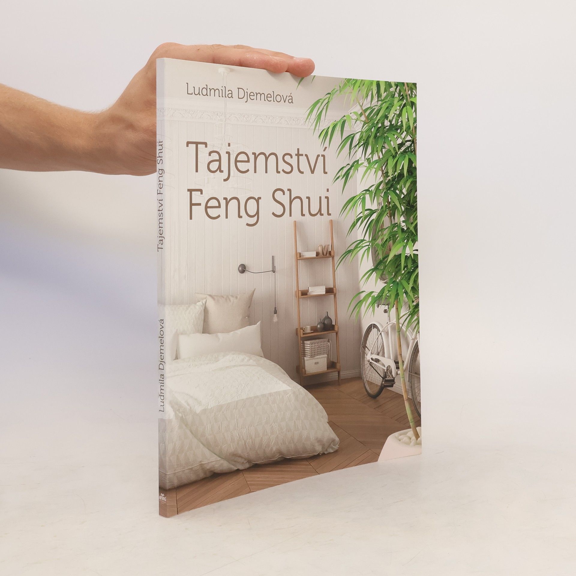 Tajemství Feng Shui