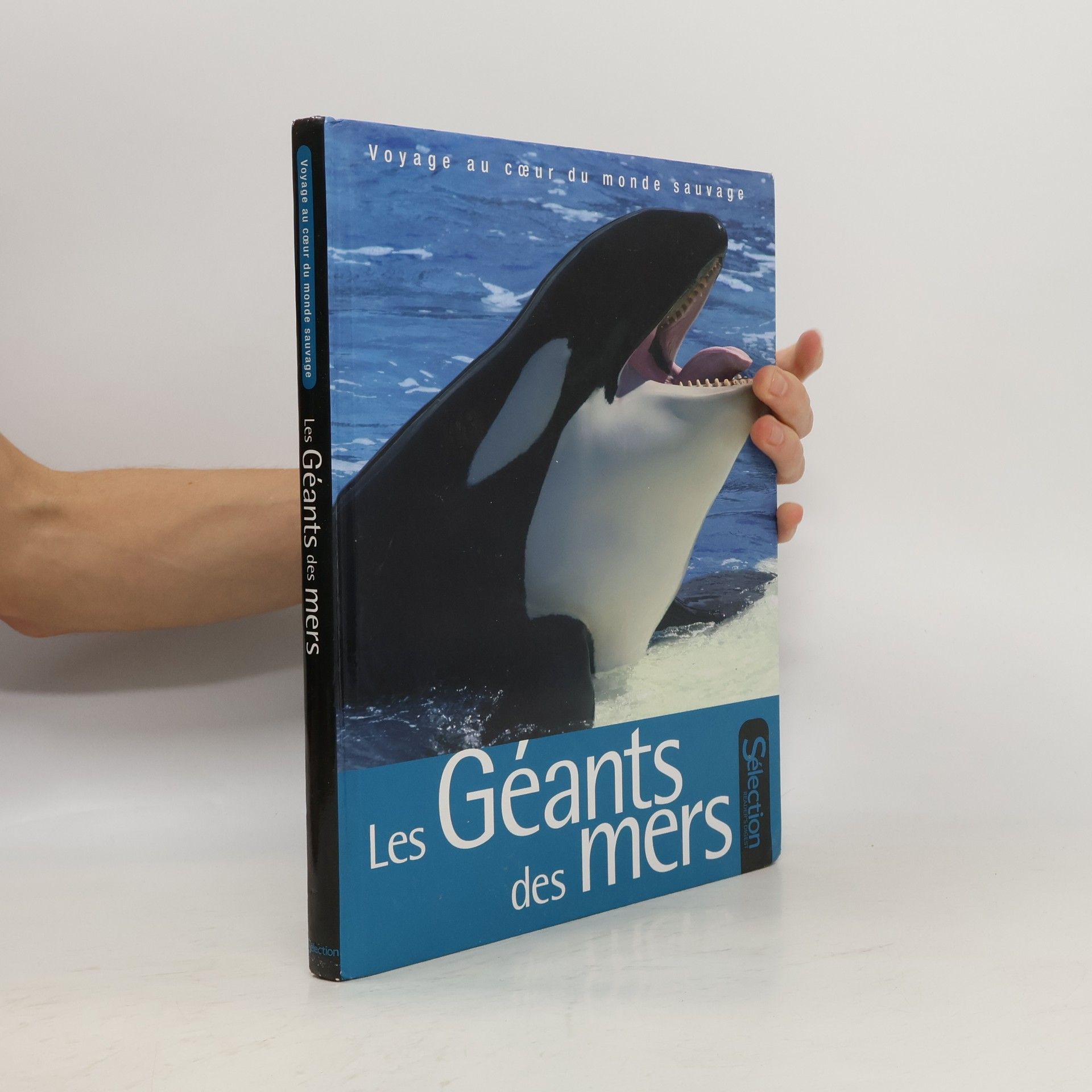 kolektiv Les Géants Des Mers