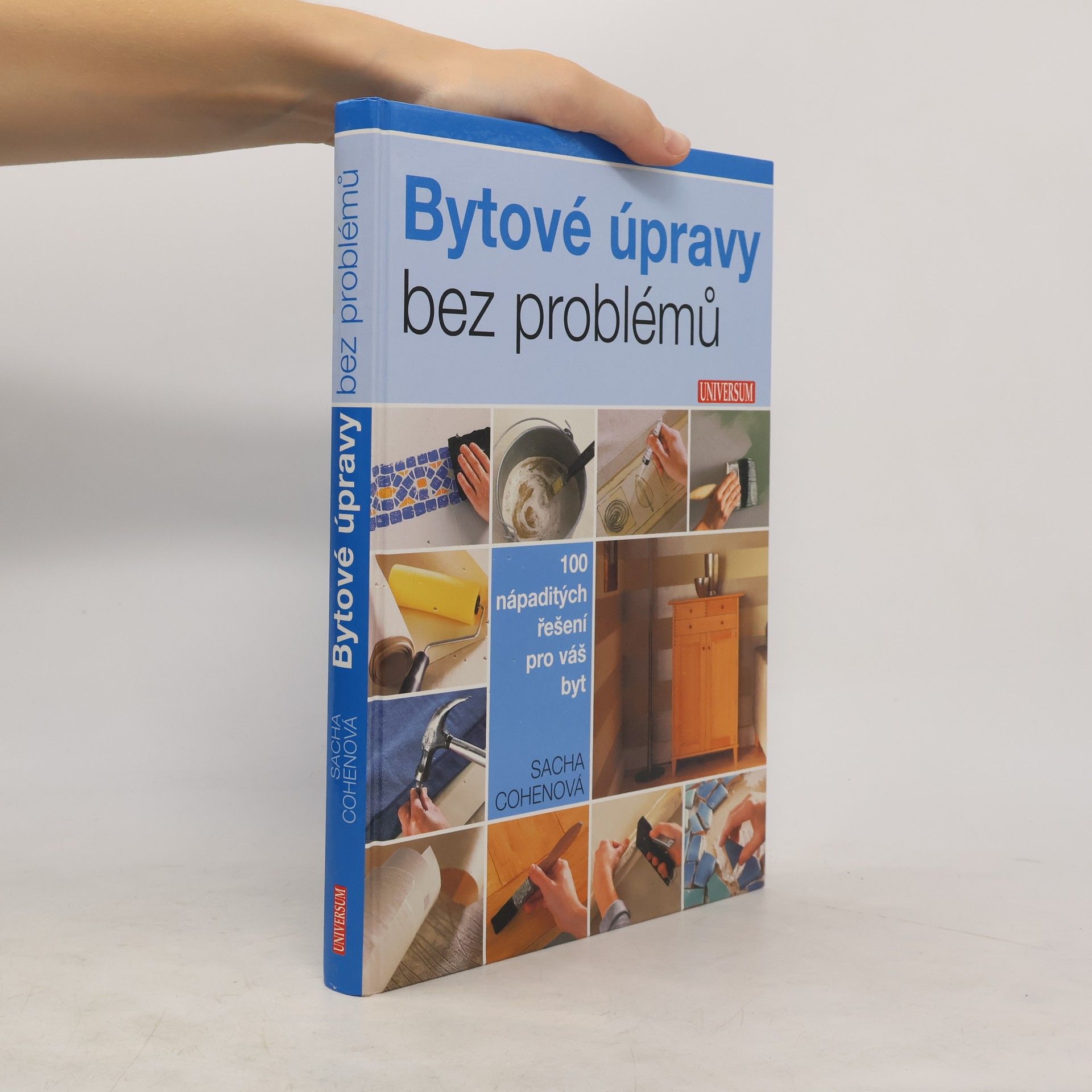 Sacha Cohen Bytové úpravy bez problémů. 100 nápaditých řešení pro váš byt