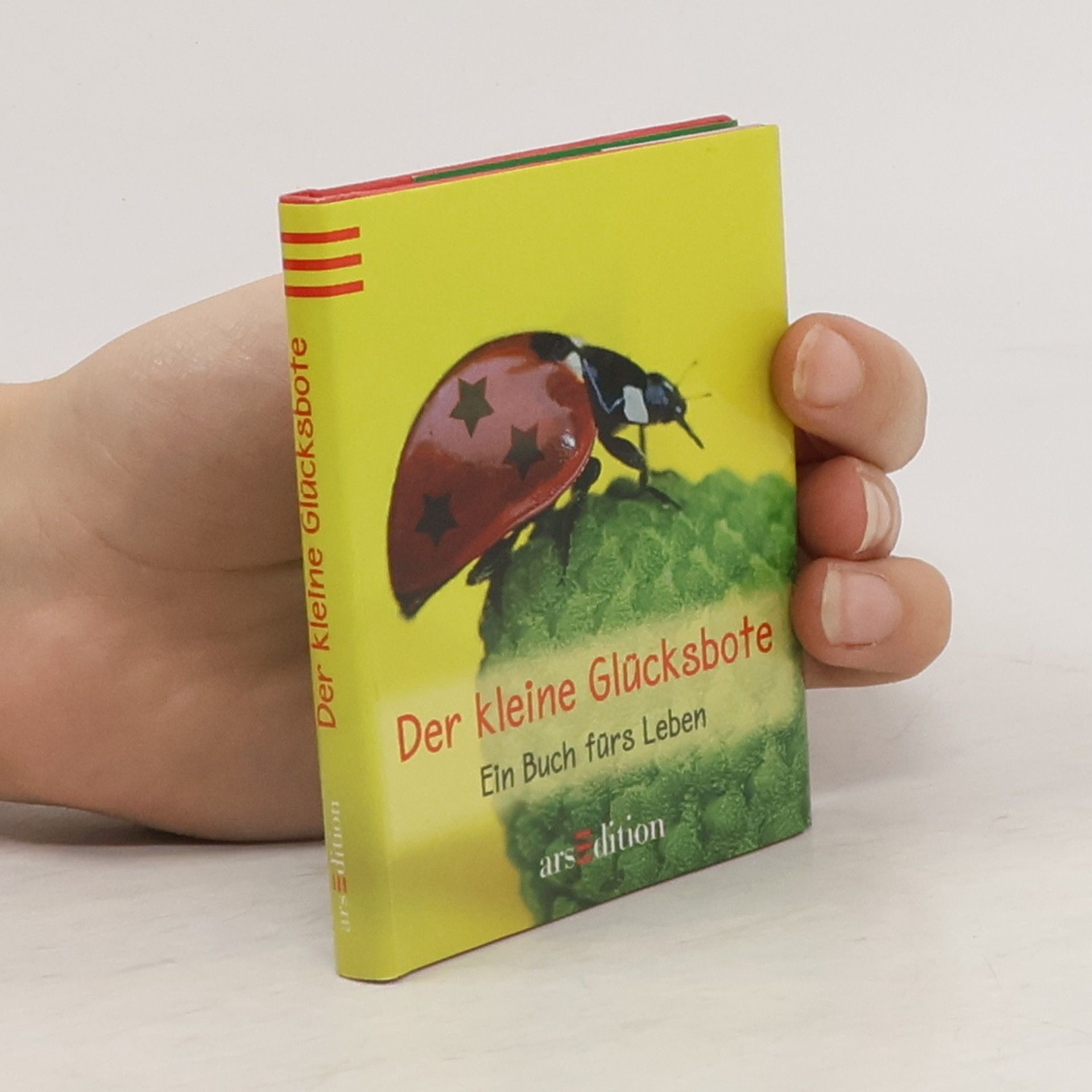 Kathrin Schubert Der kleine Glücksbote
