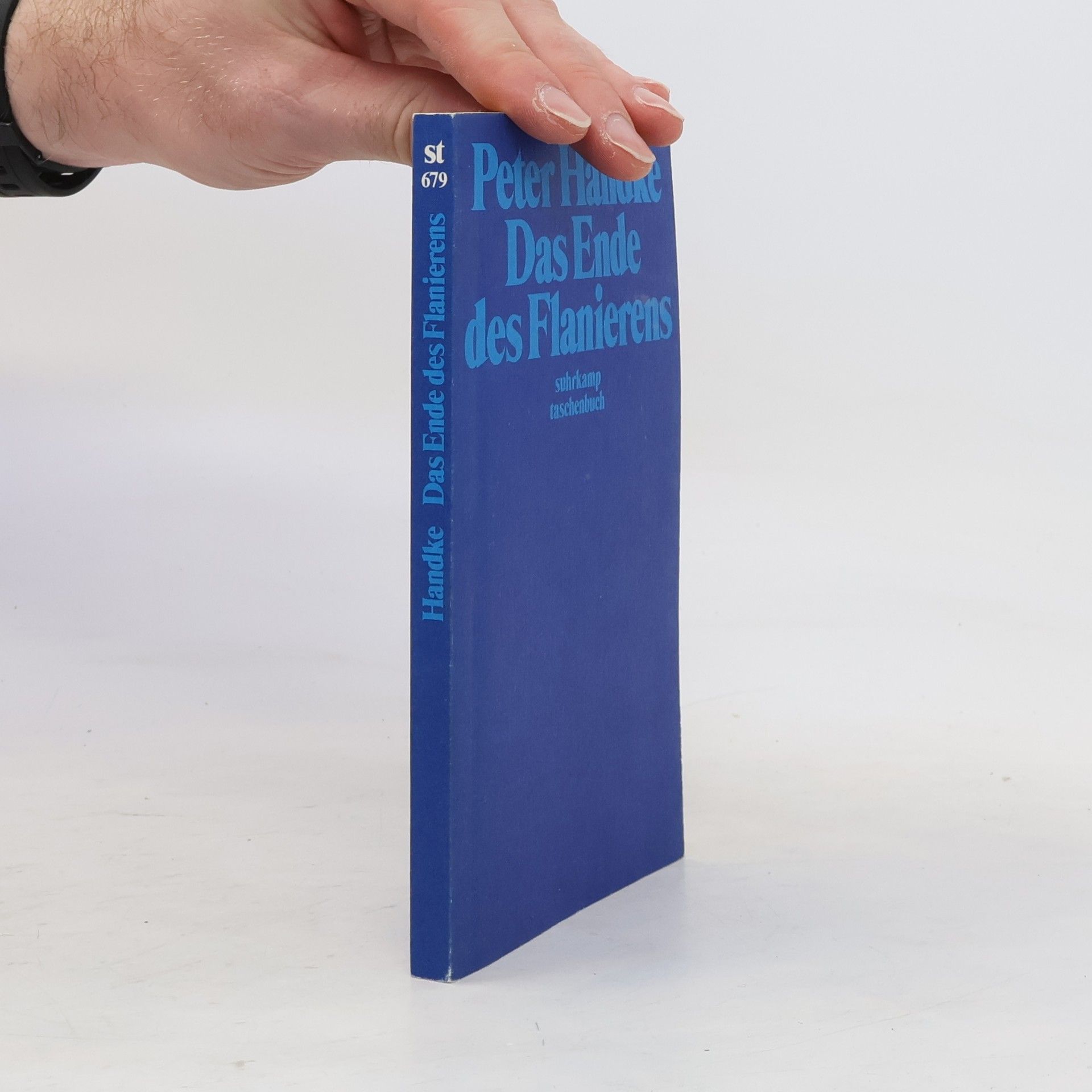 Peter Handke Das Ende des Flanierens