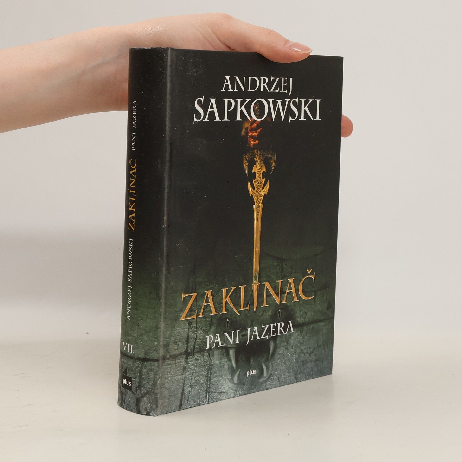 Andrzej Sapkowski Zaklínač. VII, Pani jazera. Slovensky.