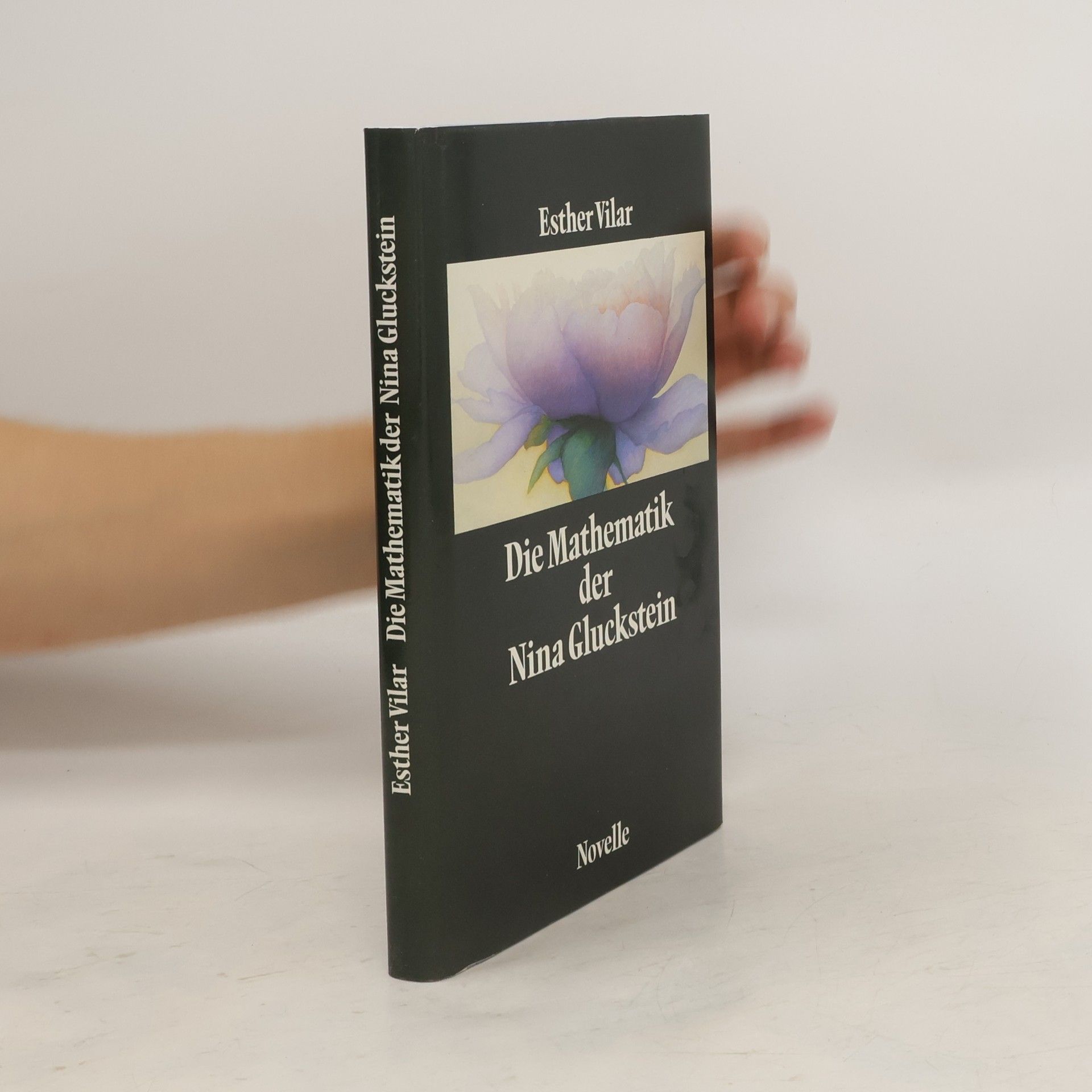 Vilar Esther Die Mathematik der Nina Gluckstein