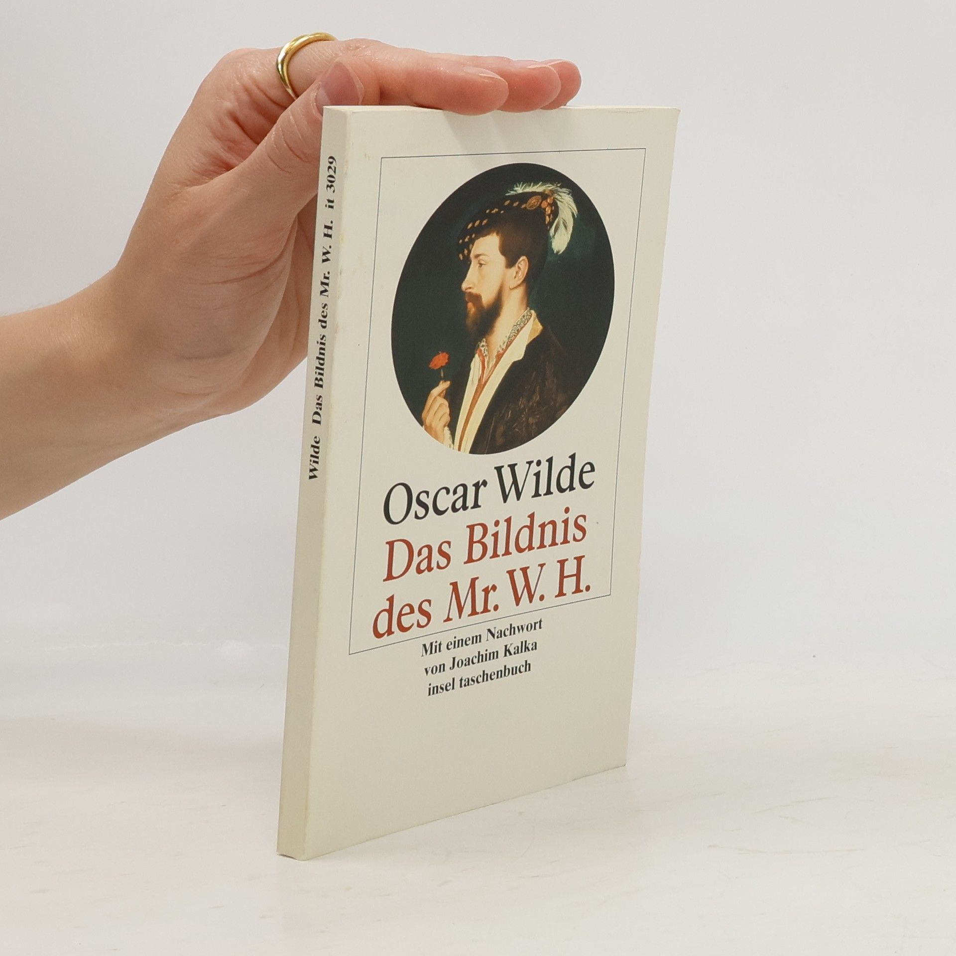 Oscar Wilde Das Bildnis des Mr. W. H. Nachw. v. Joachim Kalka