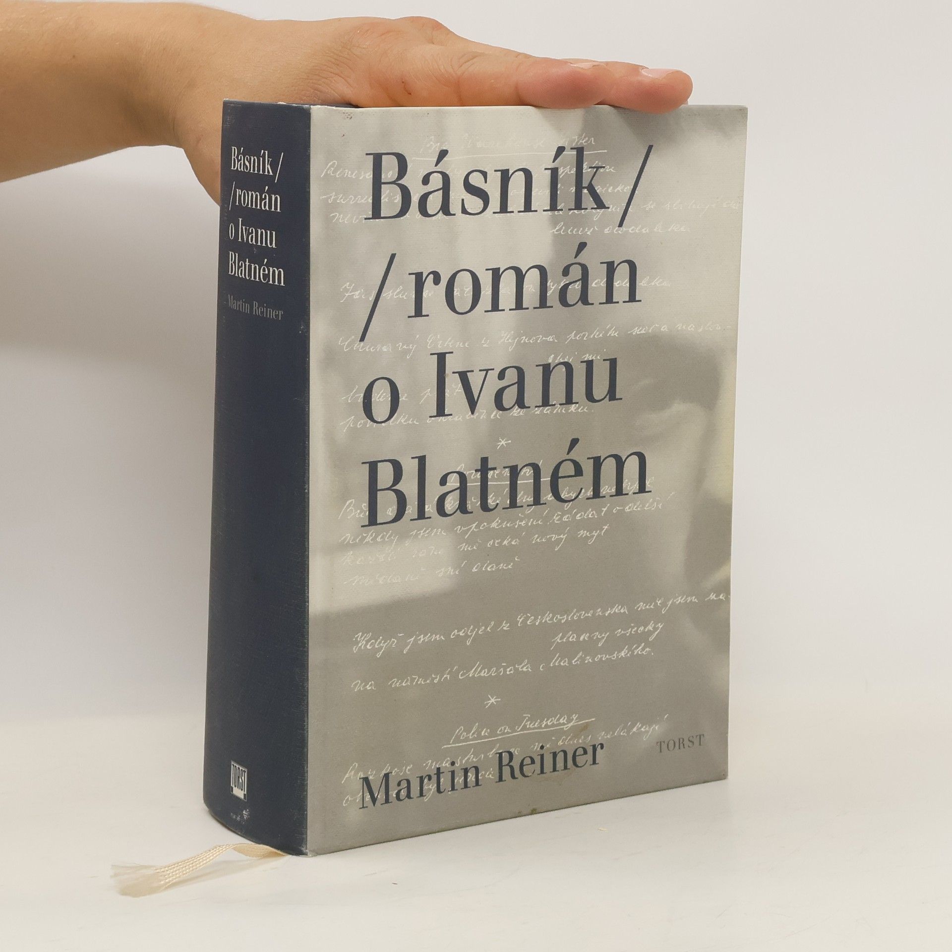 Martin Reiner Básník. Román o Ivanu Blatném