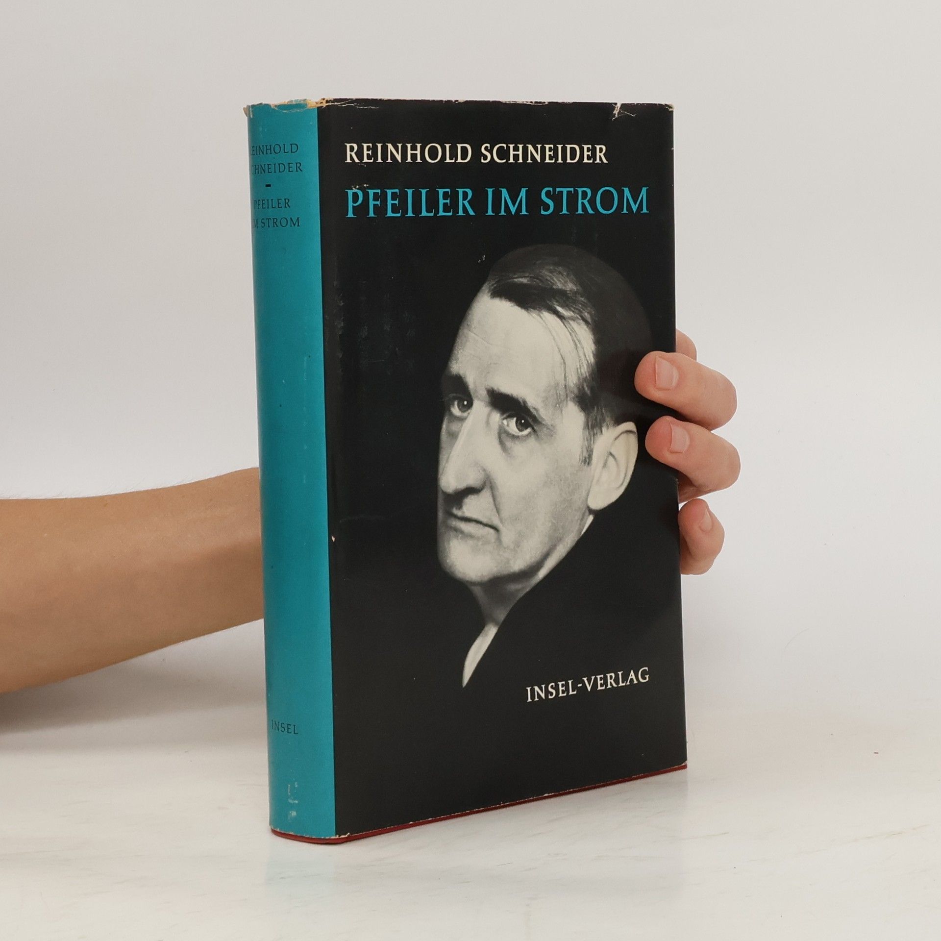 Reinhold Schneider Pfeiler im Strom