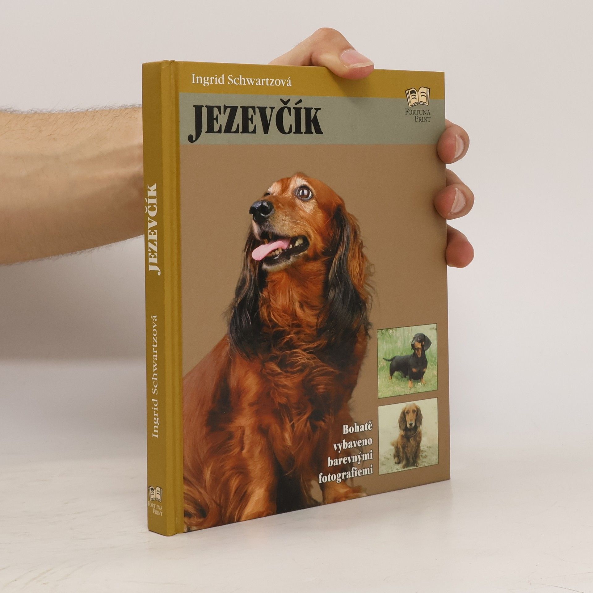 Ingrid Schwartz Jezevčík