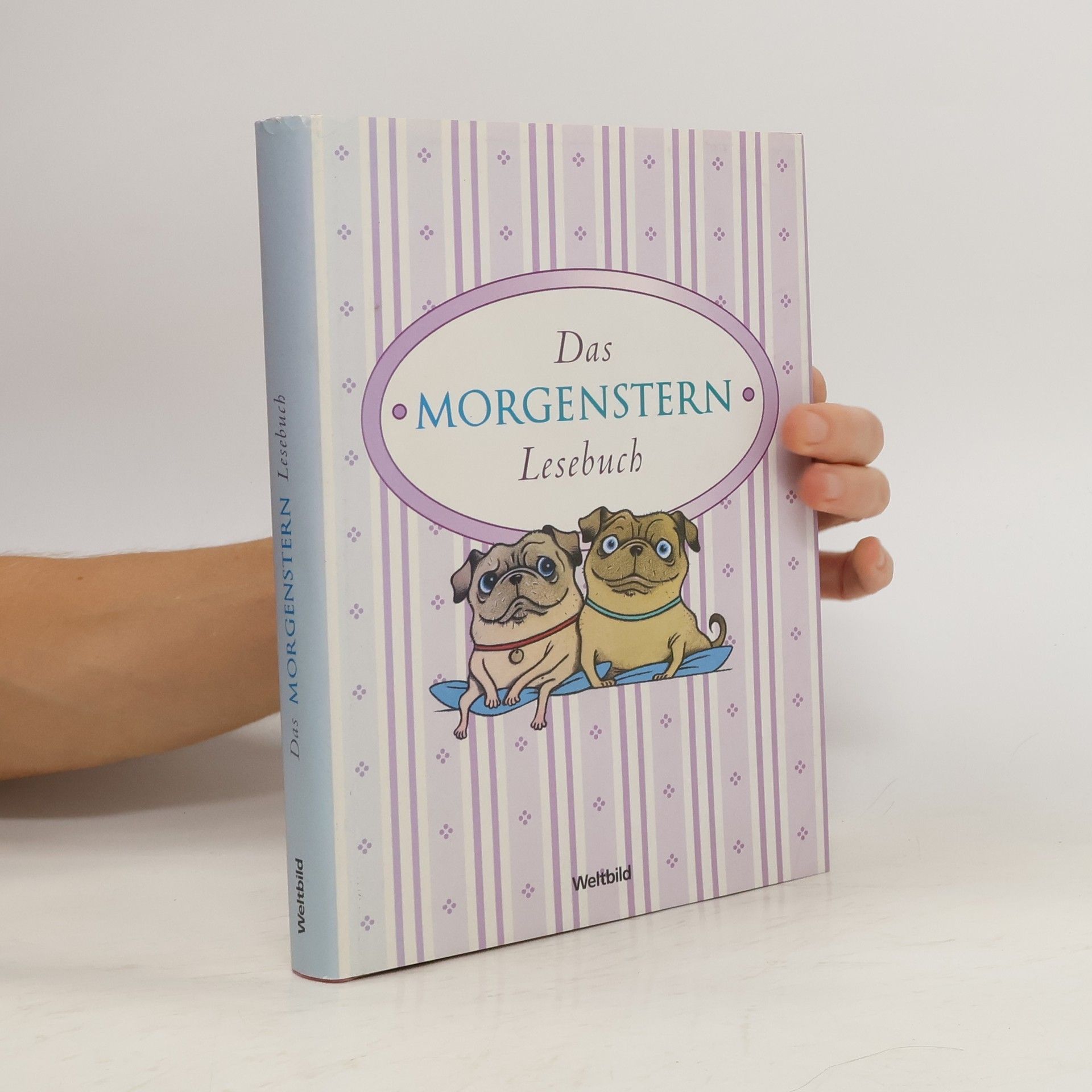 Christian Morgenstern Das Morgenstern-Lesebuch