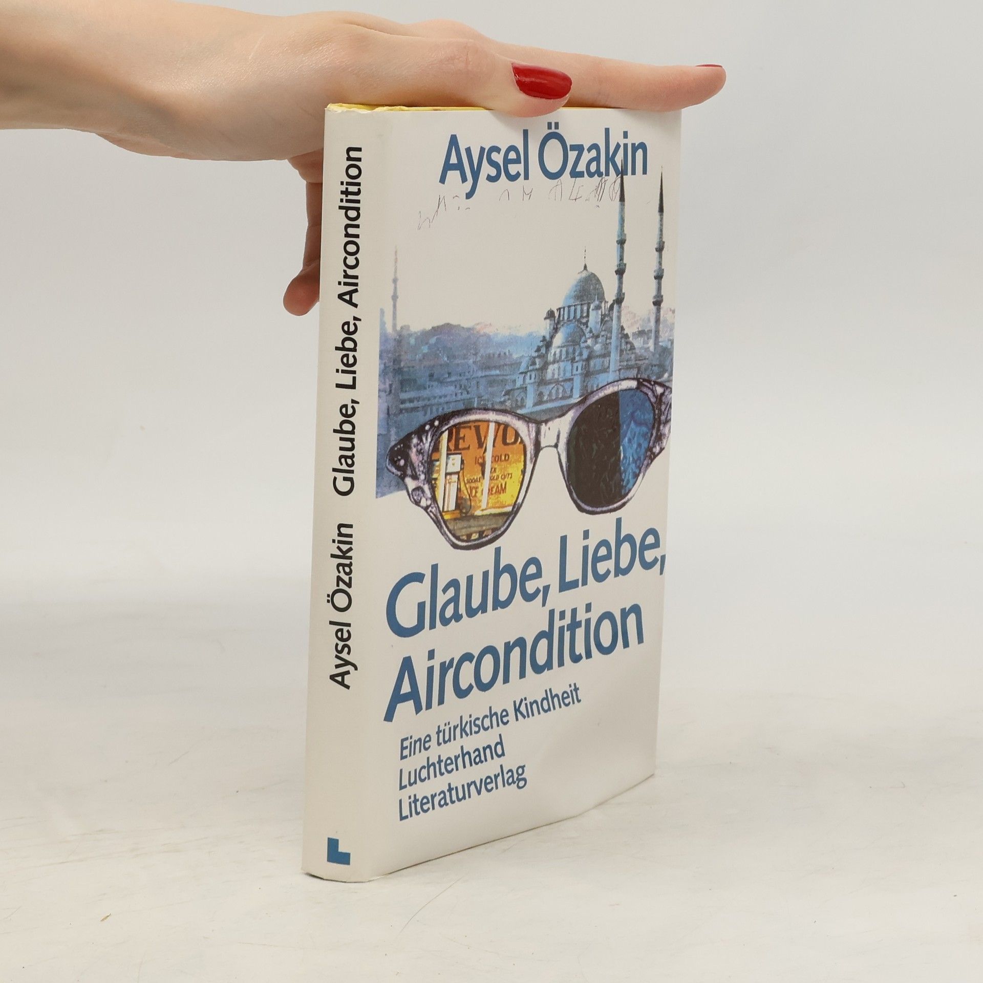 Aysel Özakın Glaube, Liebe, Aircondition