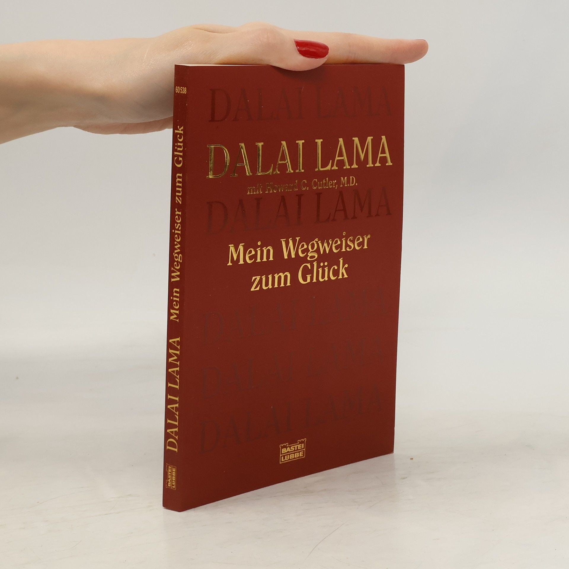 Bstan-vdzin-rgya-mtsho Mein Wegweiser zum Glück