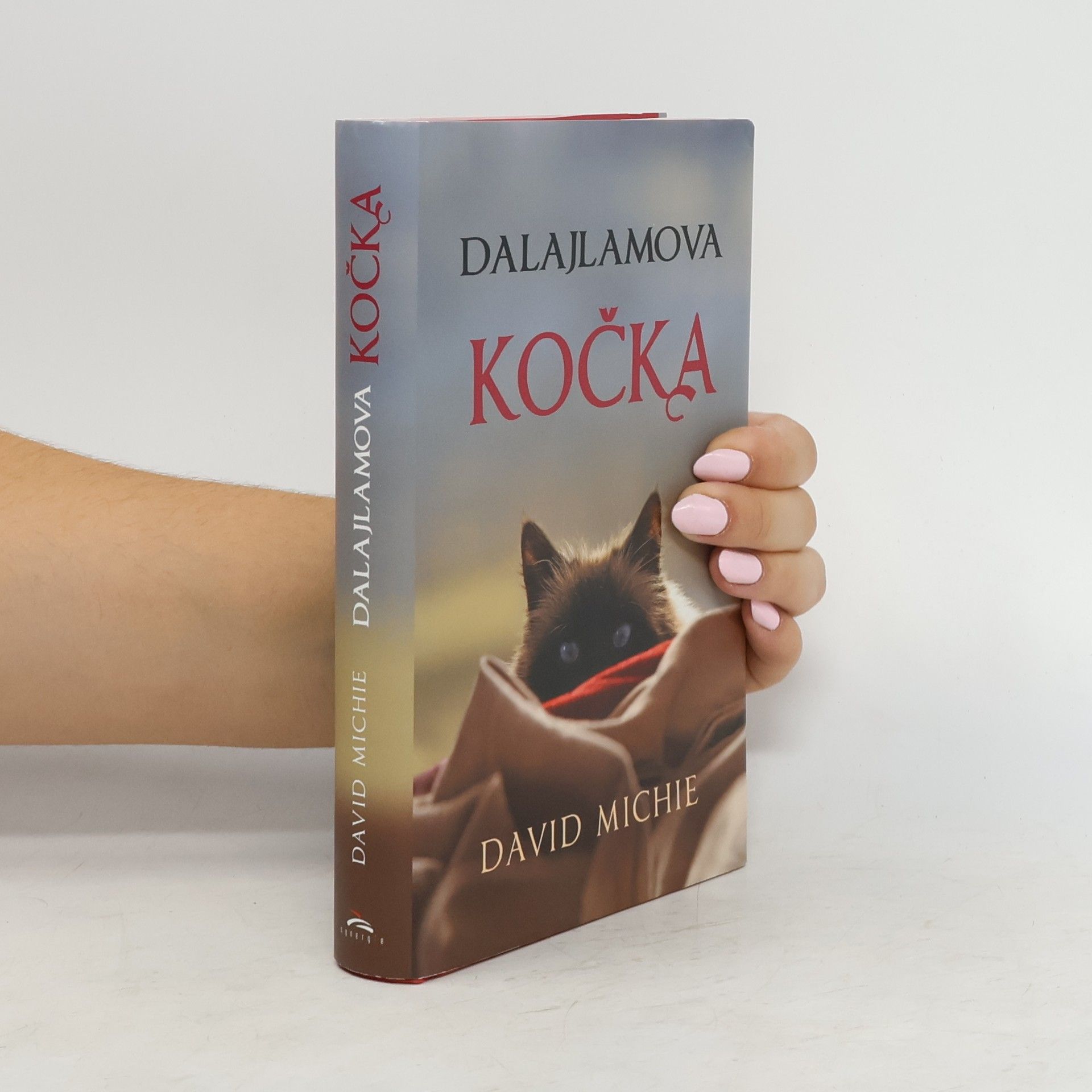 David Michie Dalajlamova kočka