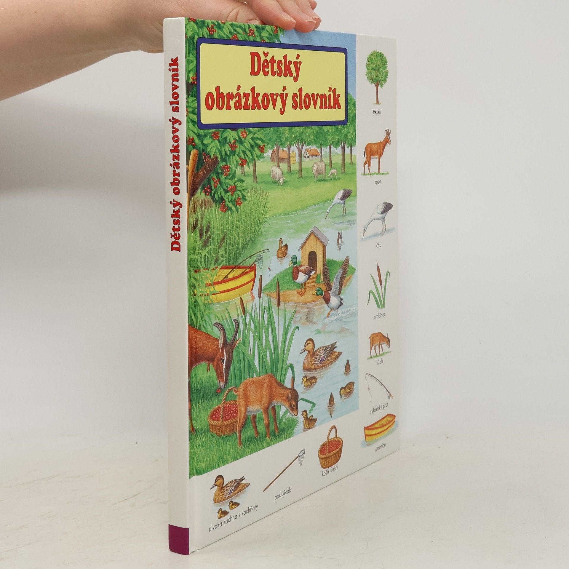 Gisela Fischer-Lingat Dětský obrázkový slovník