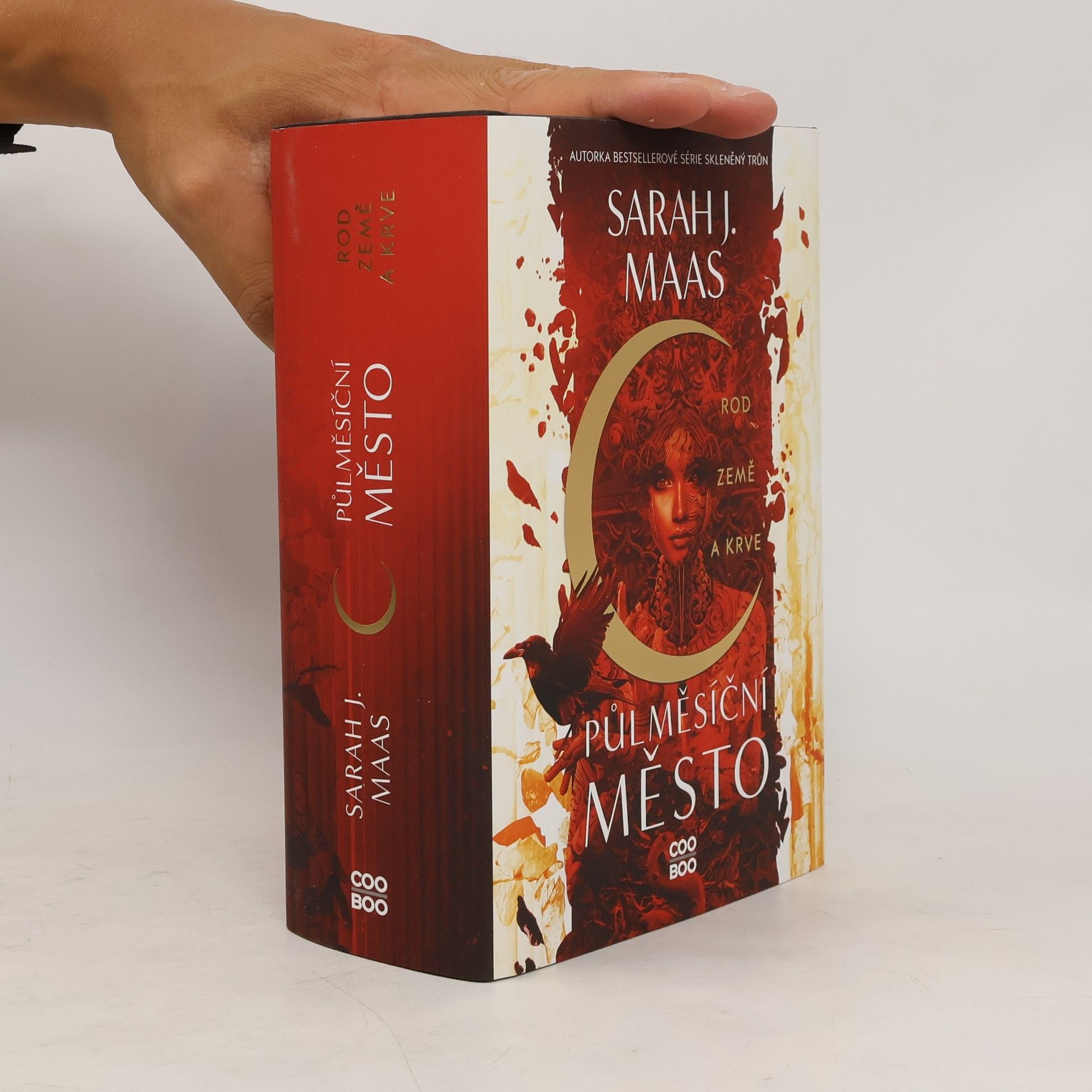 Sarah J. Maas Rod země a krve