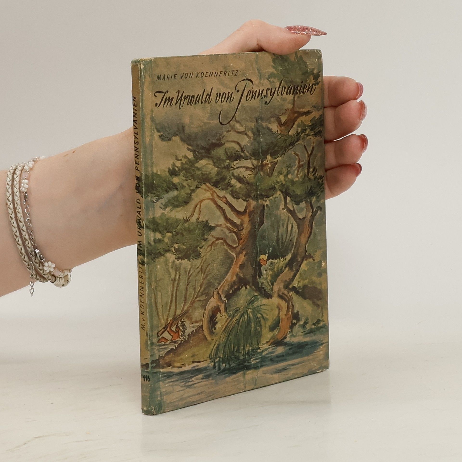 Im Urwald von Pennsylvanien