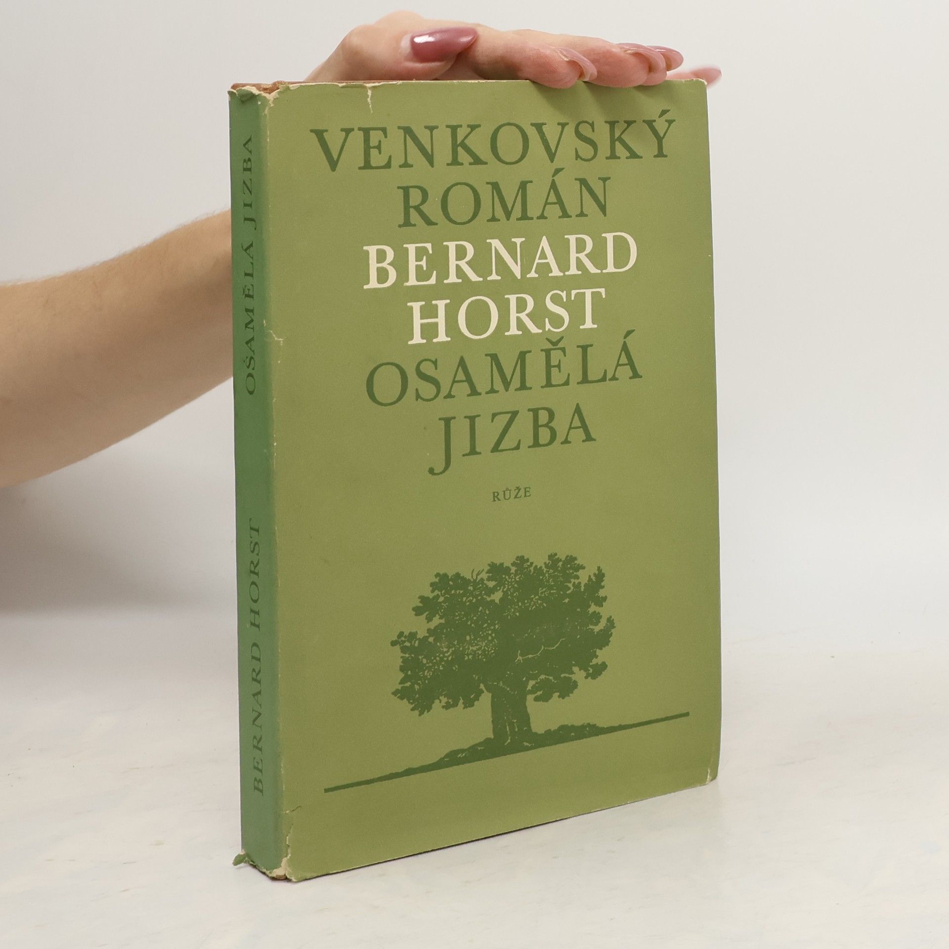 Bernard Horst Osamělá jizba