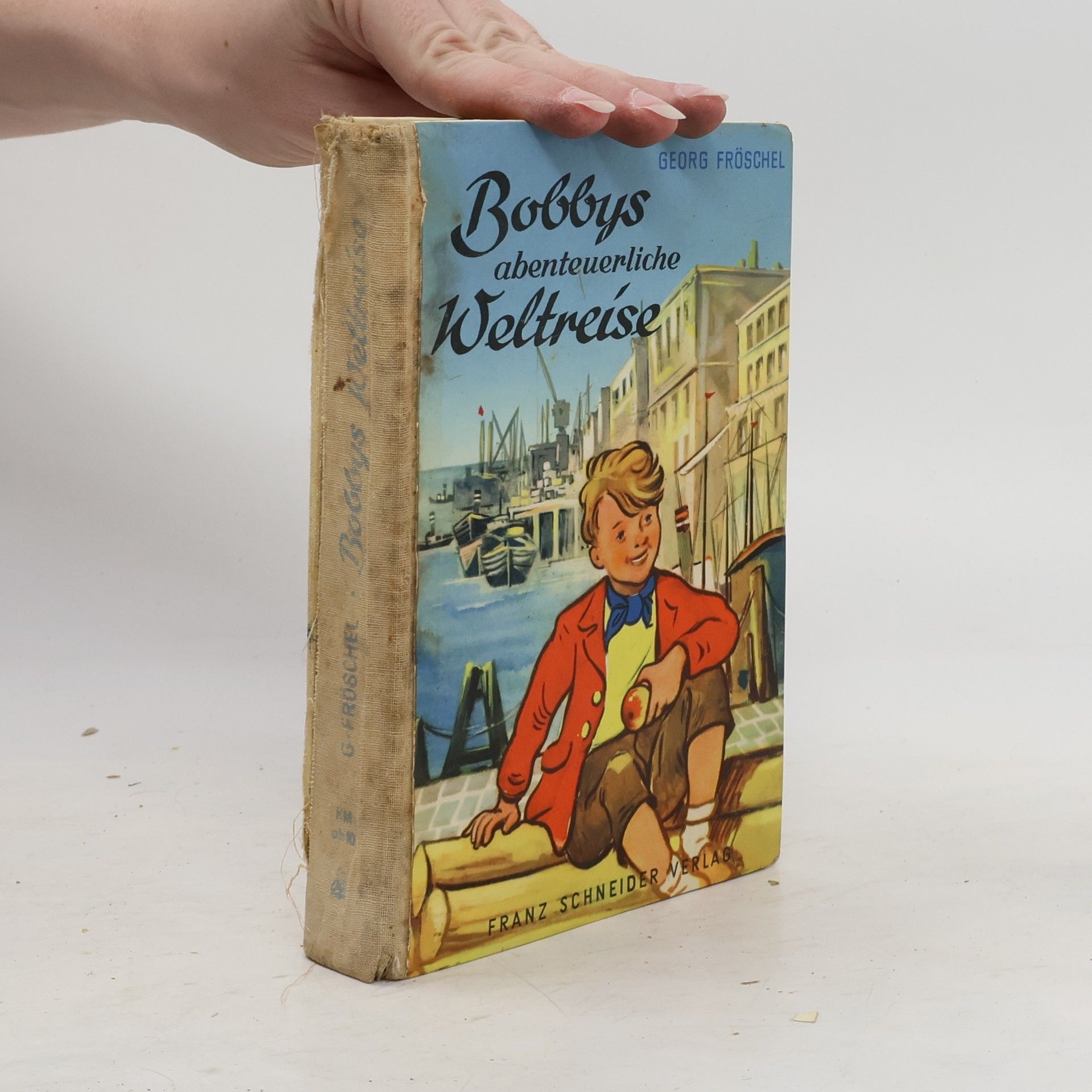 Georg Fröschel Bobbys abenteuerliche Weltreise