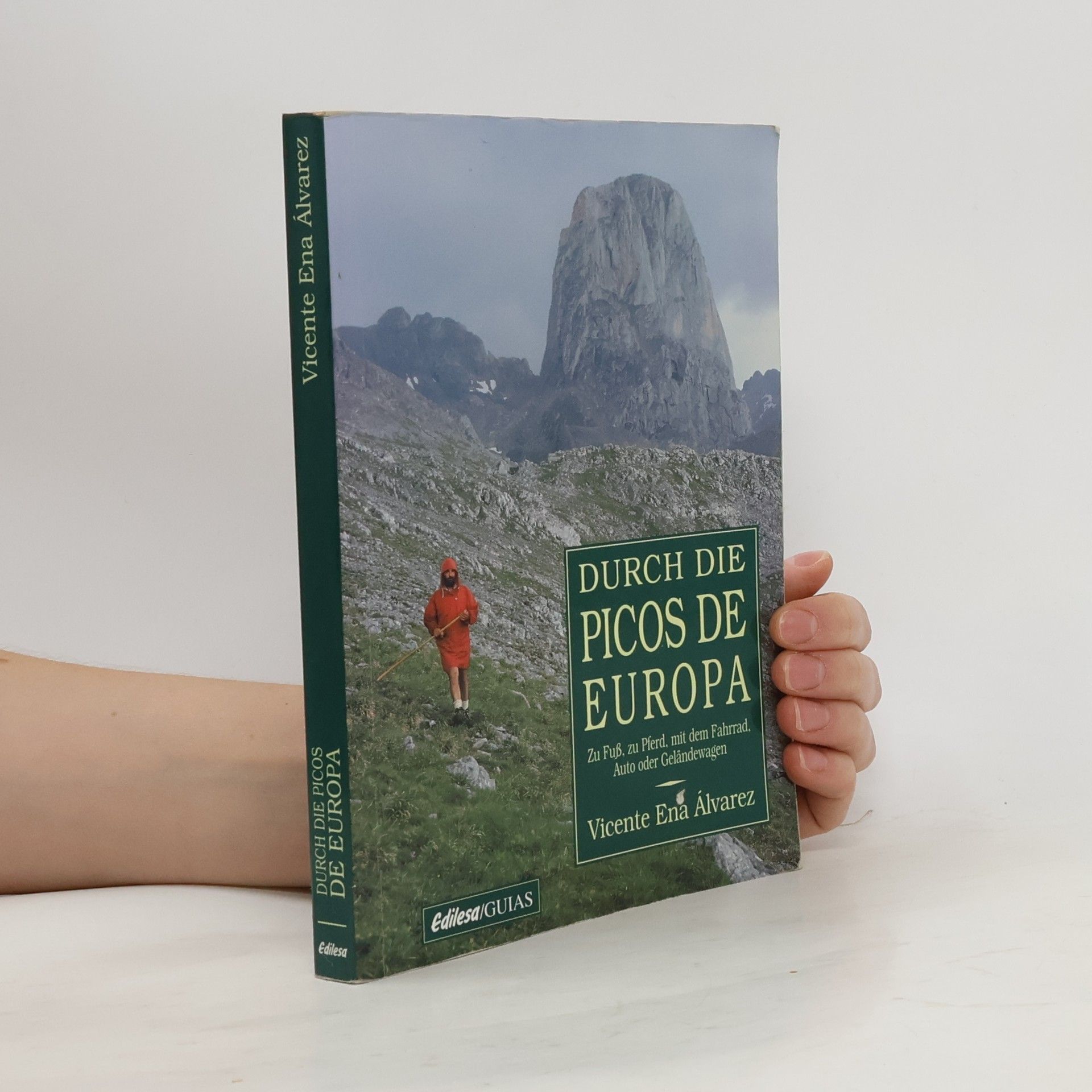 Vicente ena alvarez Durch die Picos de Europa