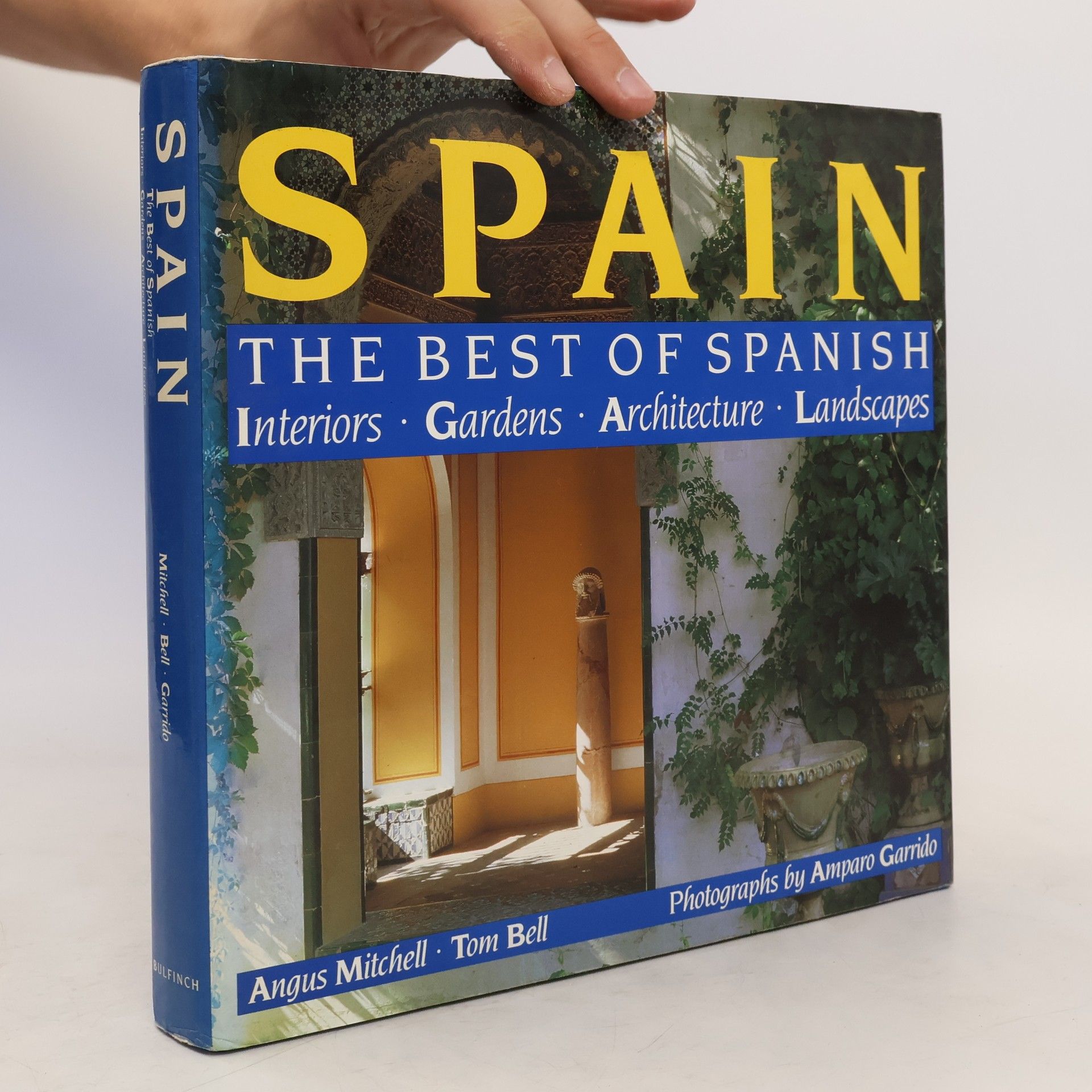 Angus Mitchell Spain