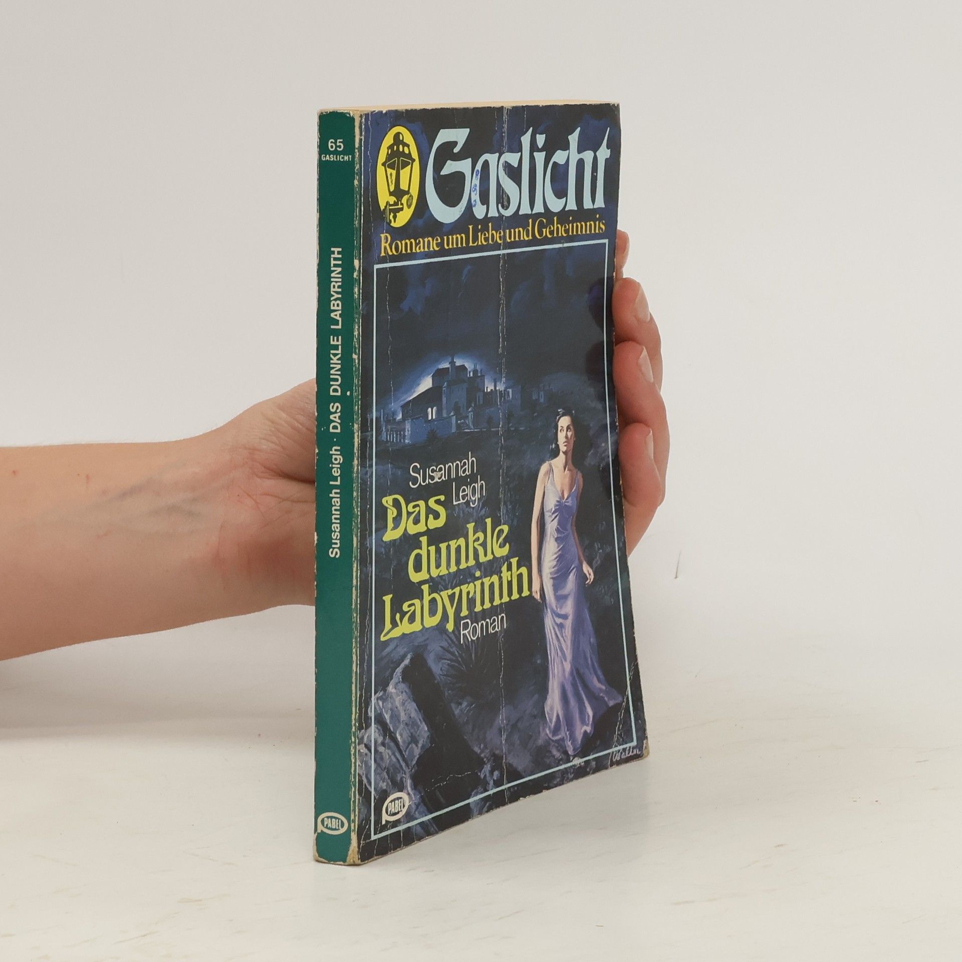 Susannah Leigh Gaslicht 65: Das dunkle Labyrinth