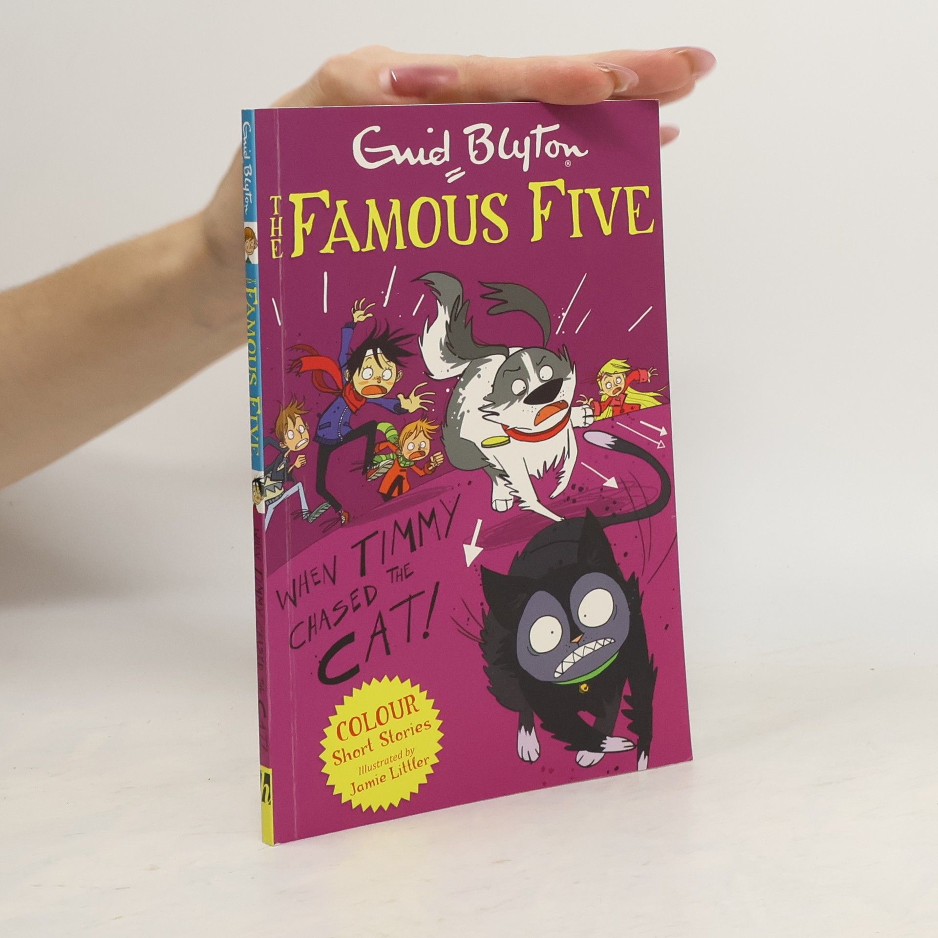 Enid Blyton Famous Five Colour Short Stories: When Timmy Chased the Cat