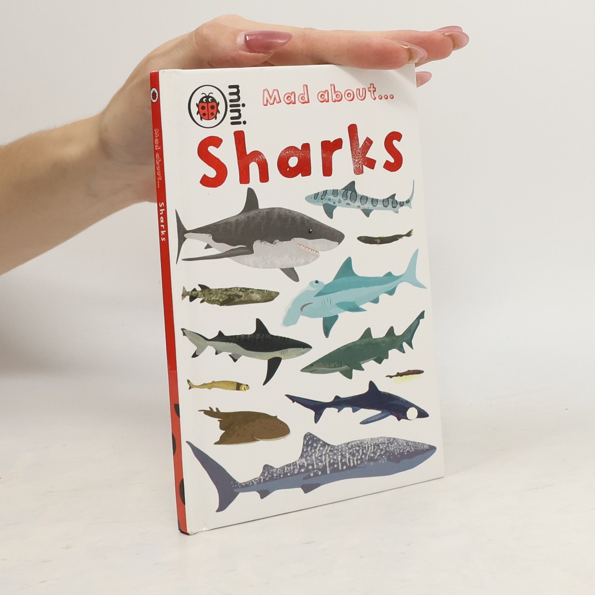 kolektiv Mad About Sharks