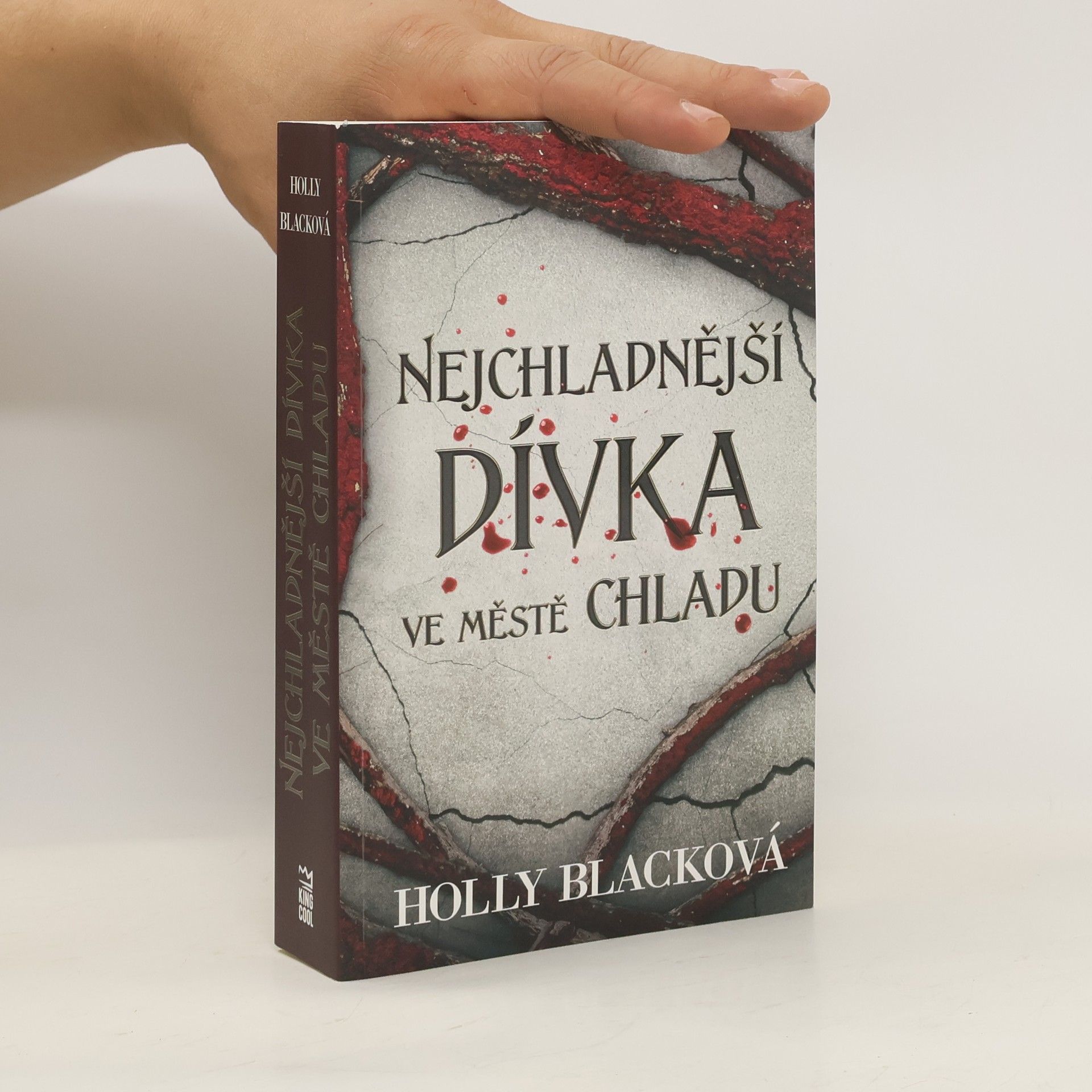 Holly Black Nejchladnější dívka ve městě chladu